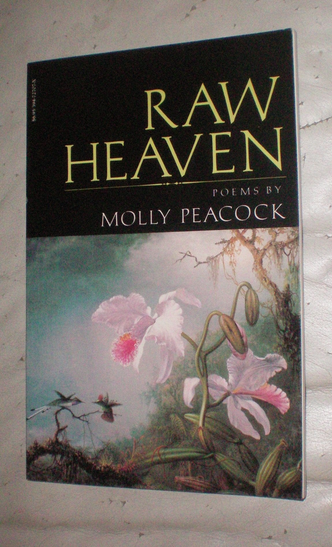 Raw Heaven: Poems (Vintage Books) book cover