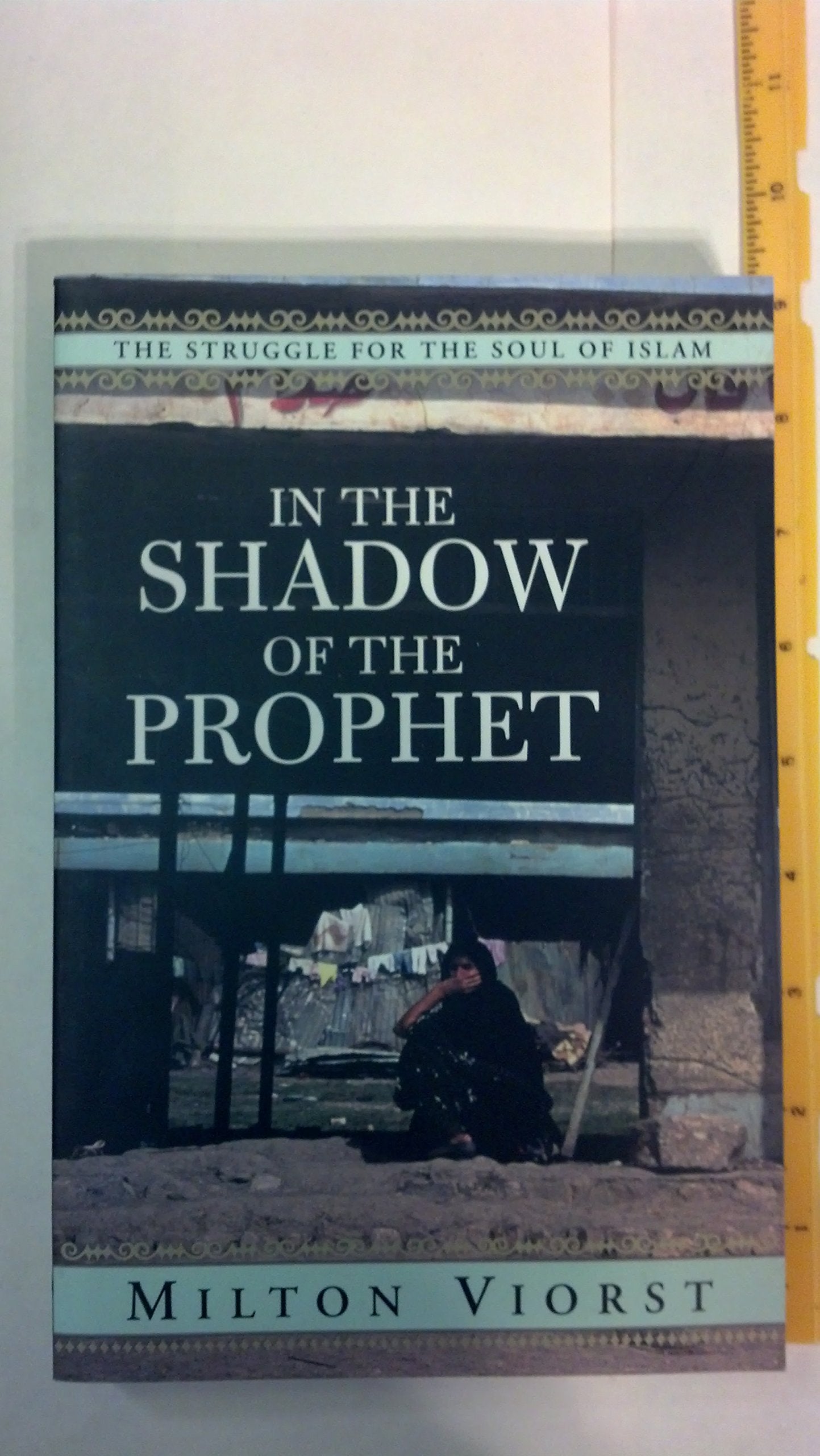 In the Shadow of the Prophet: The Struggle for the Soul of Islam Struggle for the Soul of Islam book cover
