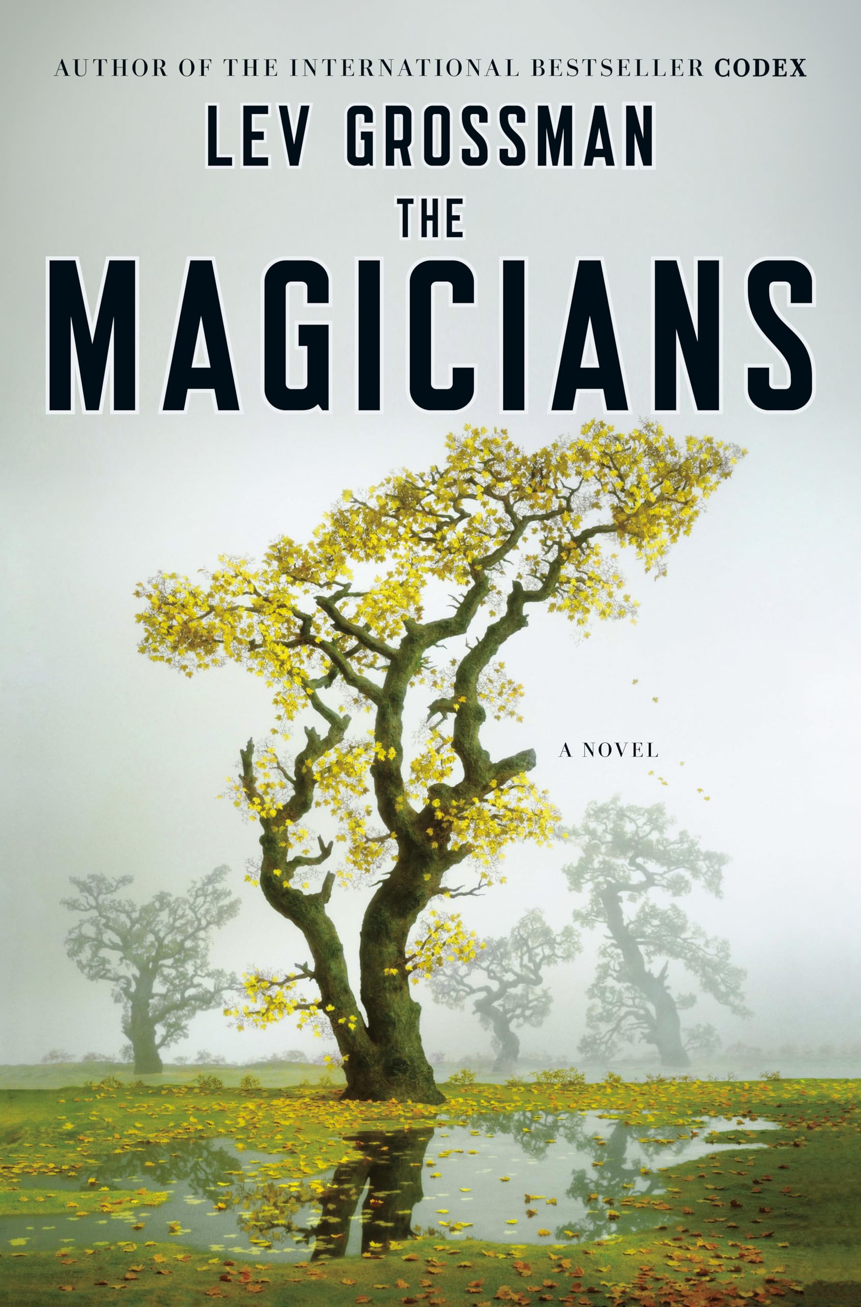 Magicians book cover