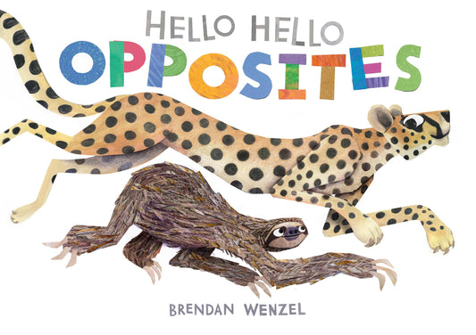 Hello Hello Opposites book cover