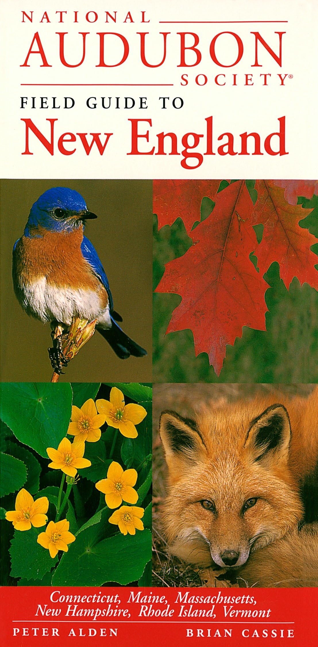 National Audubon Society Field Guide to New England: Connecticut, Maine, Massachusetts, New Hampshire, Rhode Island, Vermont book cover
