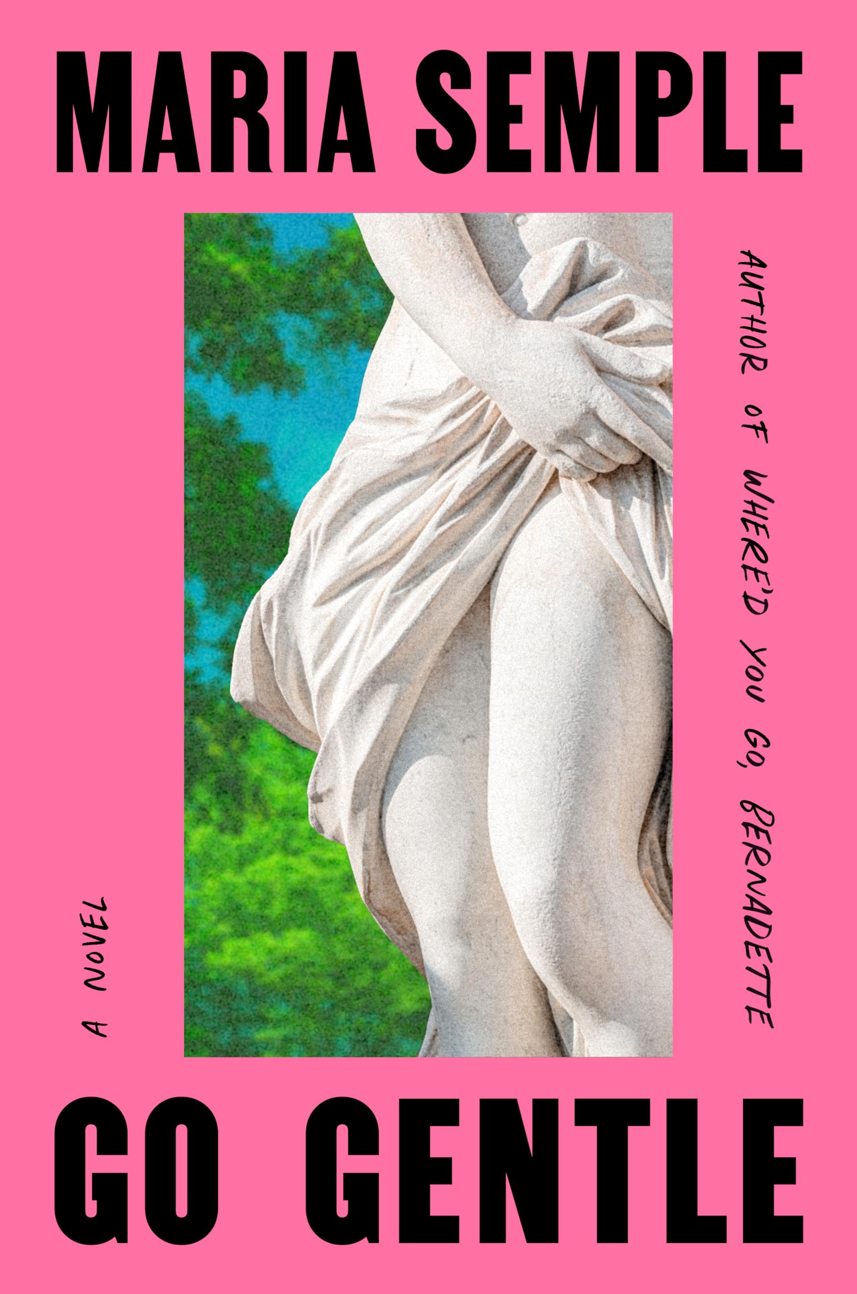 Go Gentle book cover