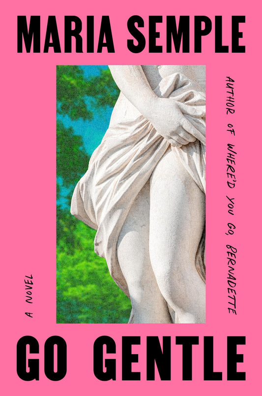 Go Gentle book cover