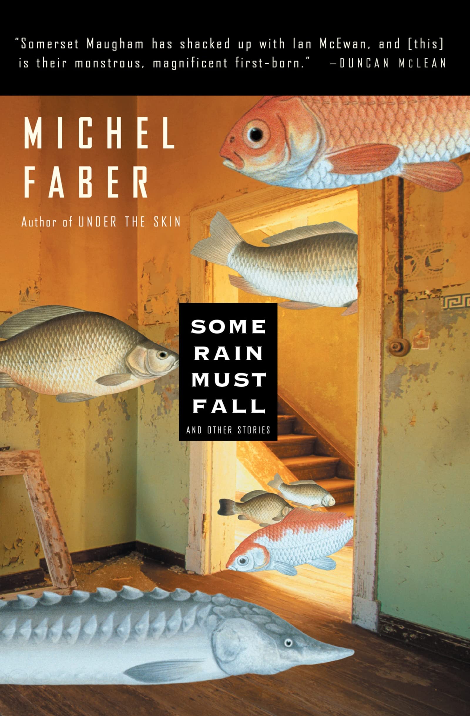 Some Rain Must Fall (Us) book cover