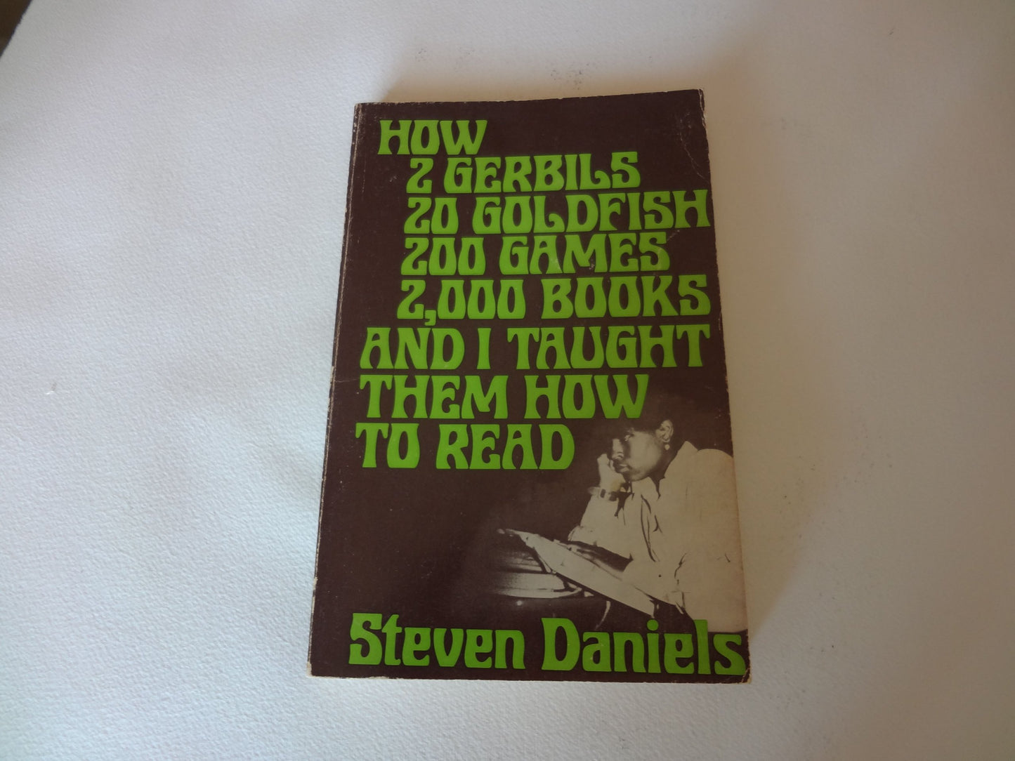 How Two Gerbils, Twenty Goldfish, Two Hundred Games, Two Thousand Books, and I Taught Them How to Read book cover