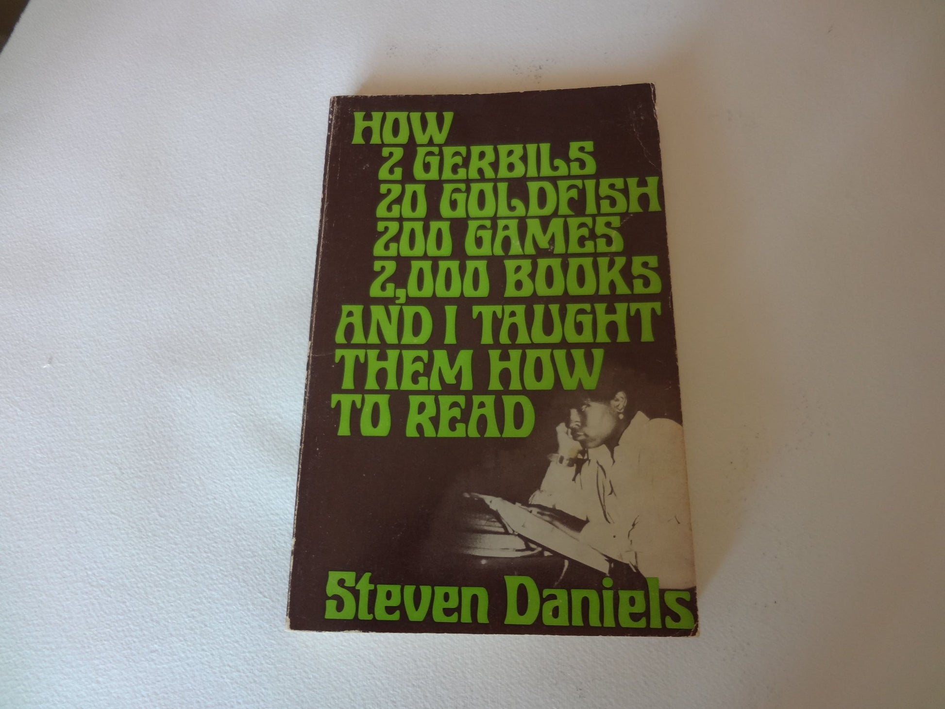 How Two Gerbils, Twenty Goldfish, Two Hundred Games, Two Thousand Books, and I Taught Them How to Read book cover