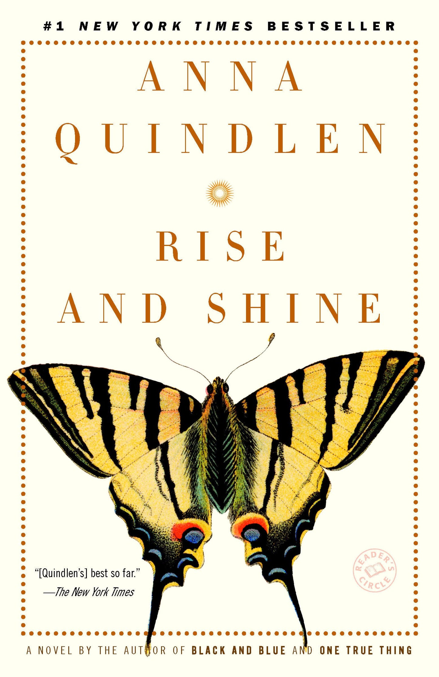 Rise and Shine: A Novel book cover