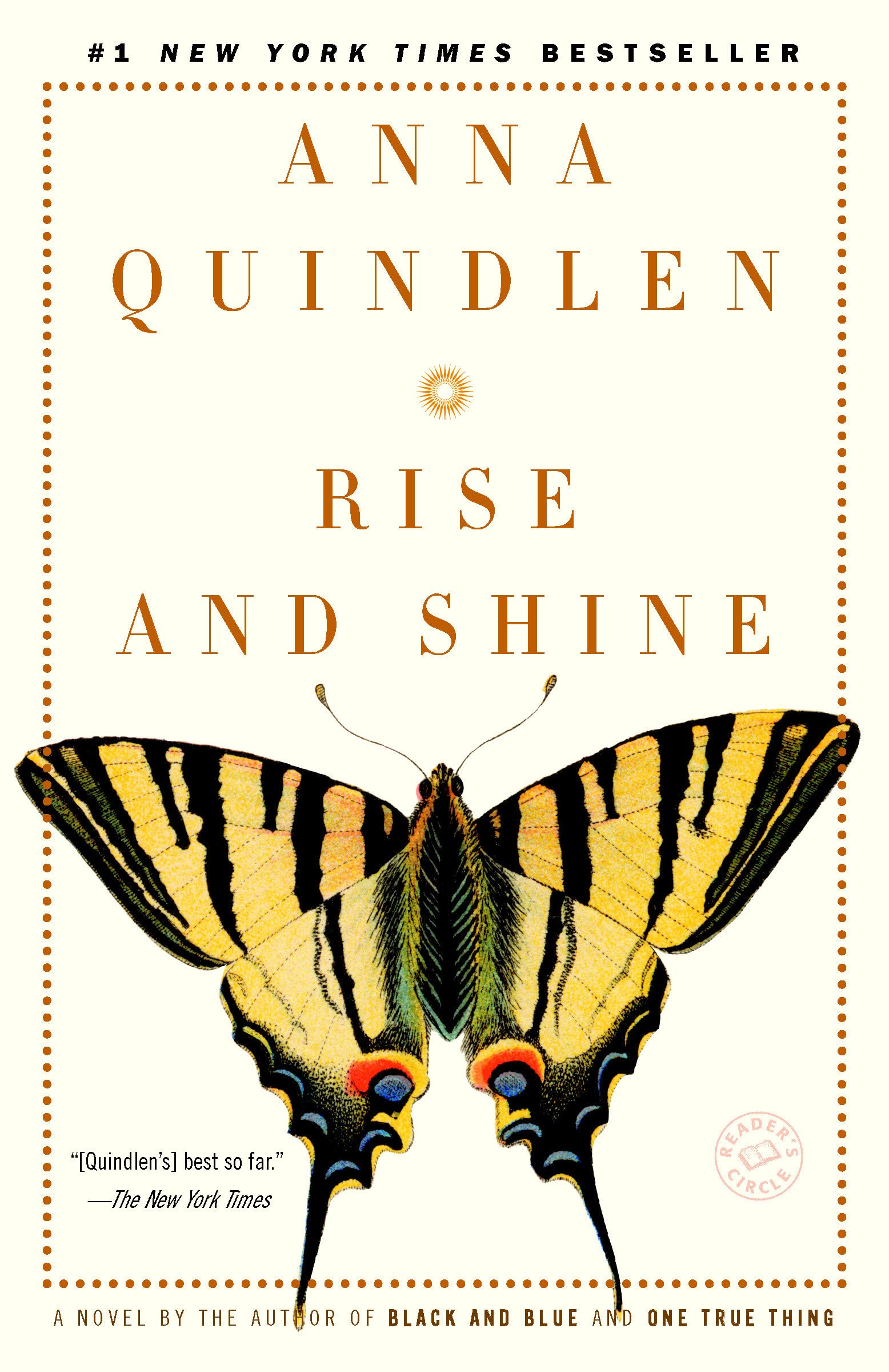 Rise and Shine: A Novel book cover