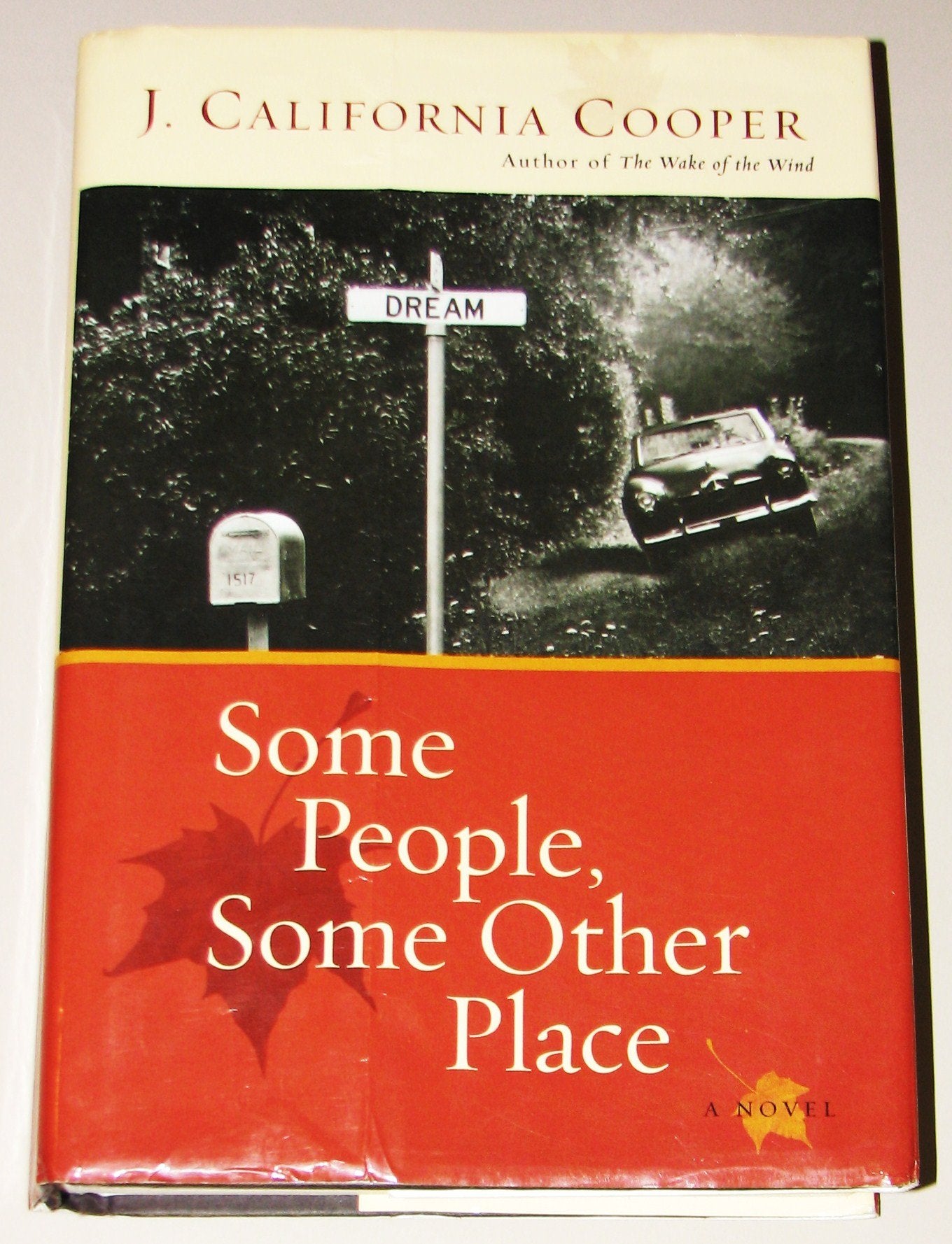 Some People, Some Other Place book cover