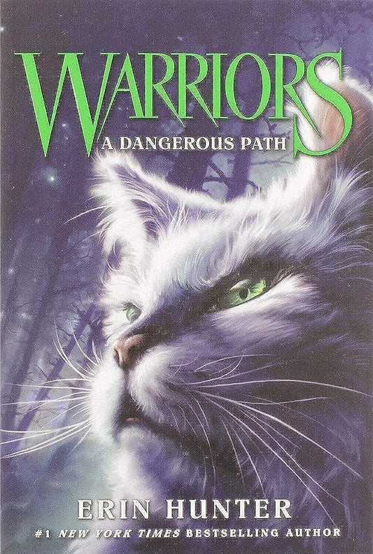 Warriors #5: A Dangerous Path book cover