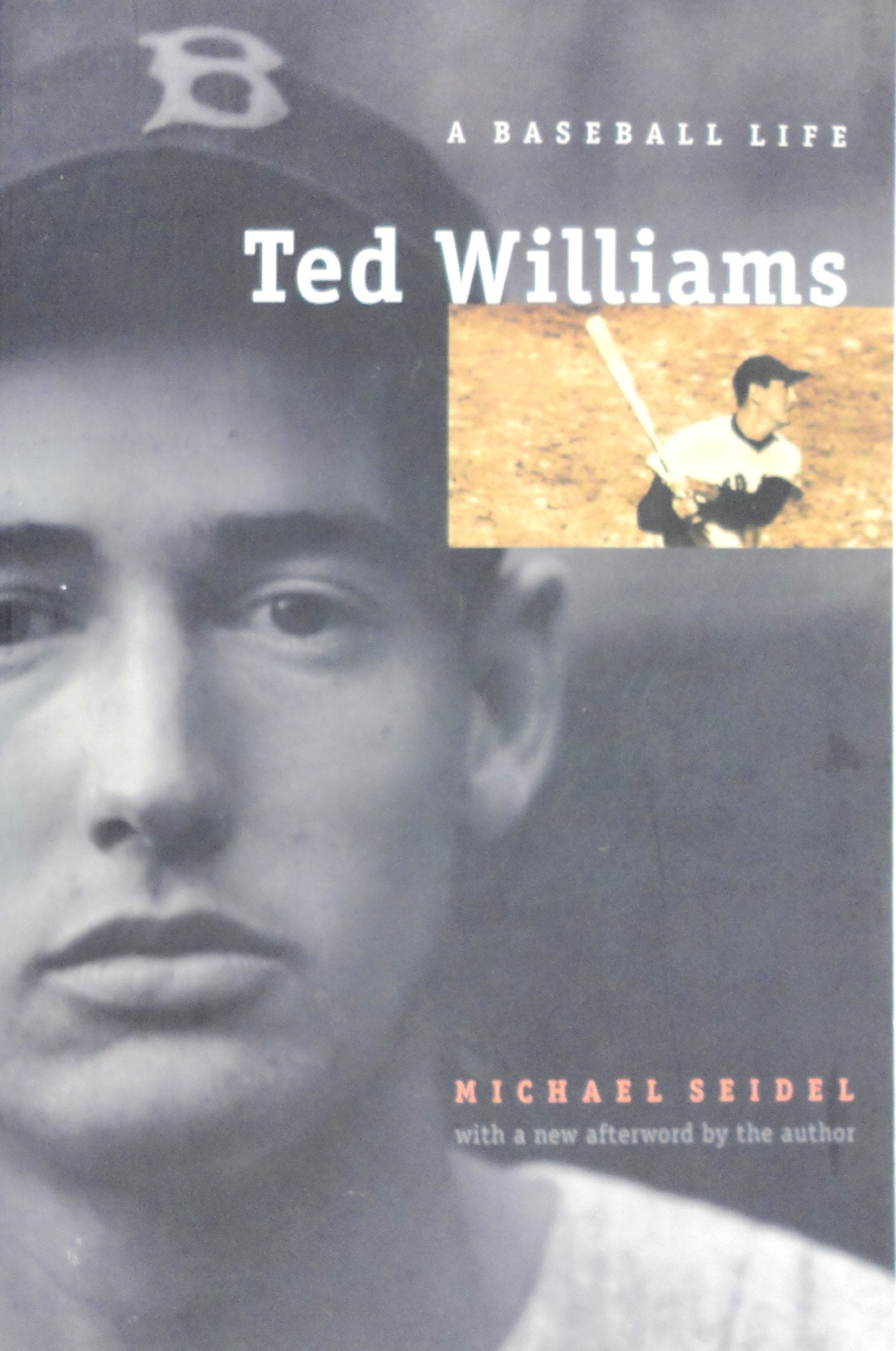 Ted Williams: A Baseball Life book cover