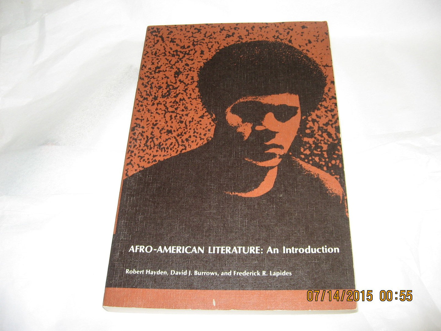 Afro-American Literature: An Introduction book cover