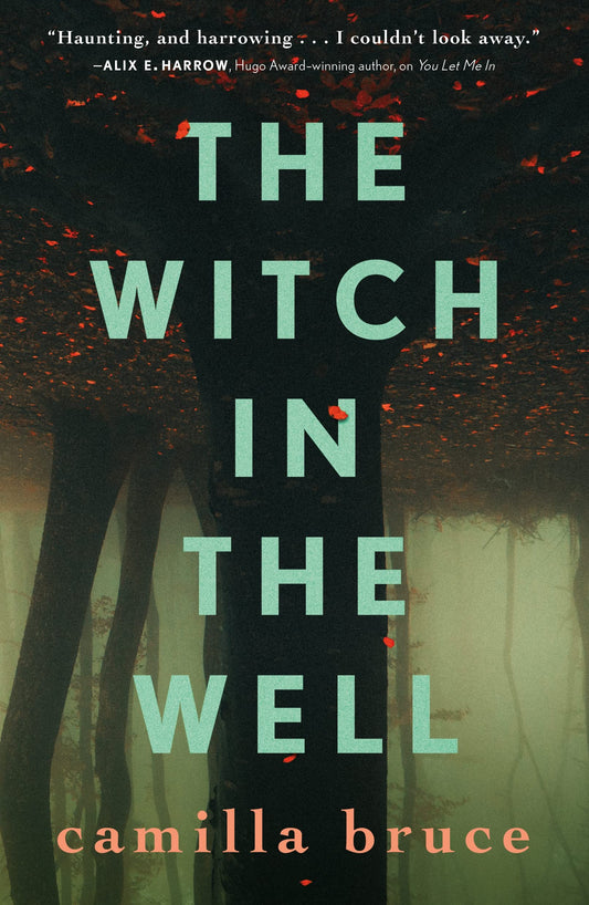 Witch In The Well