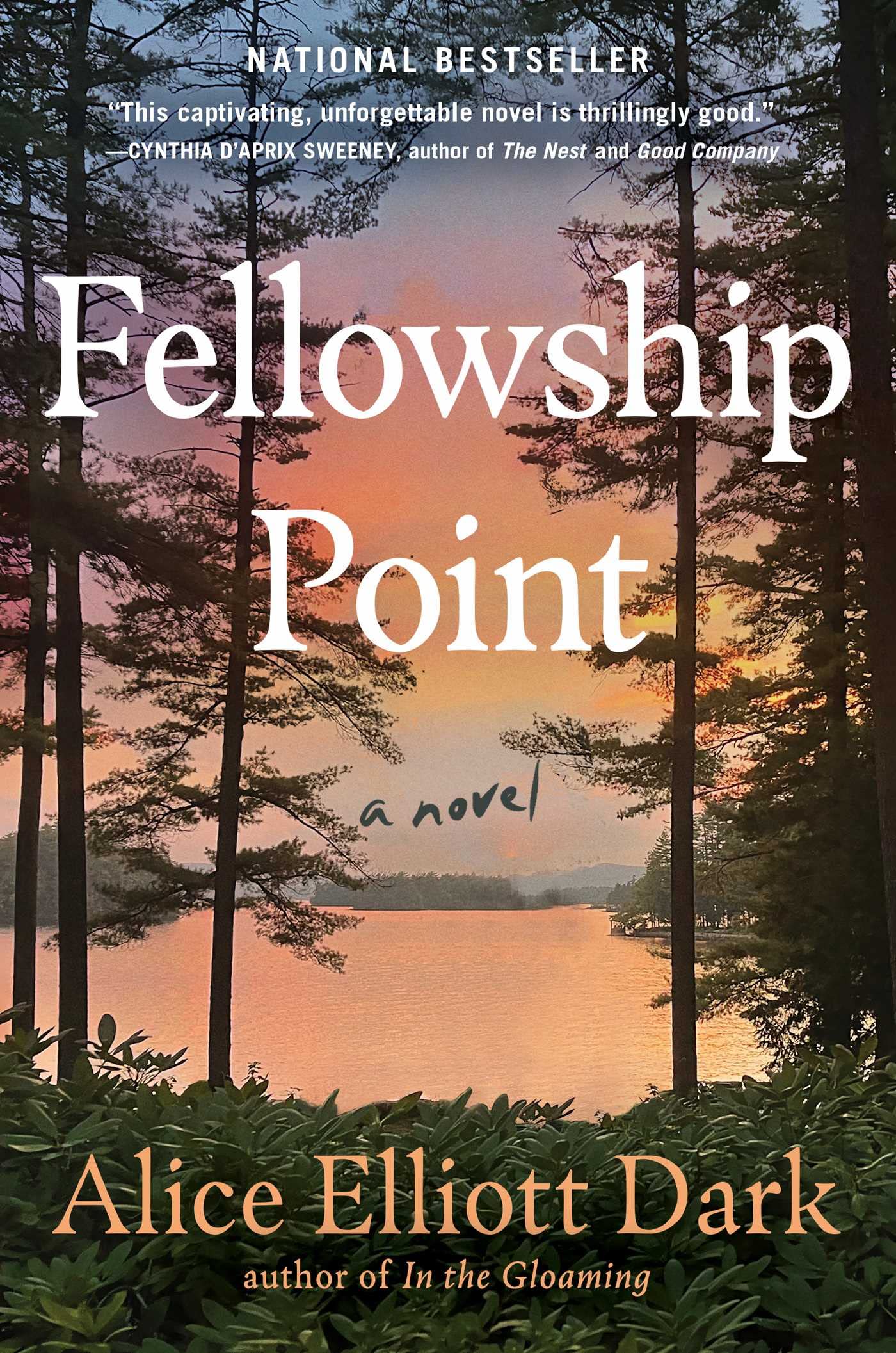 Fellowship Point book cover