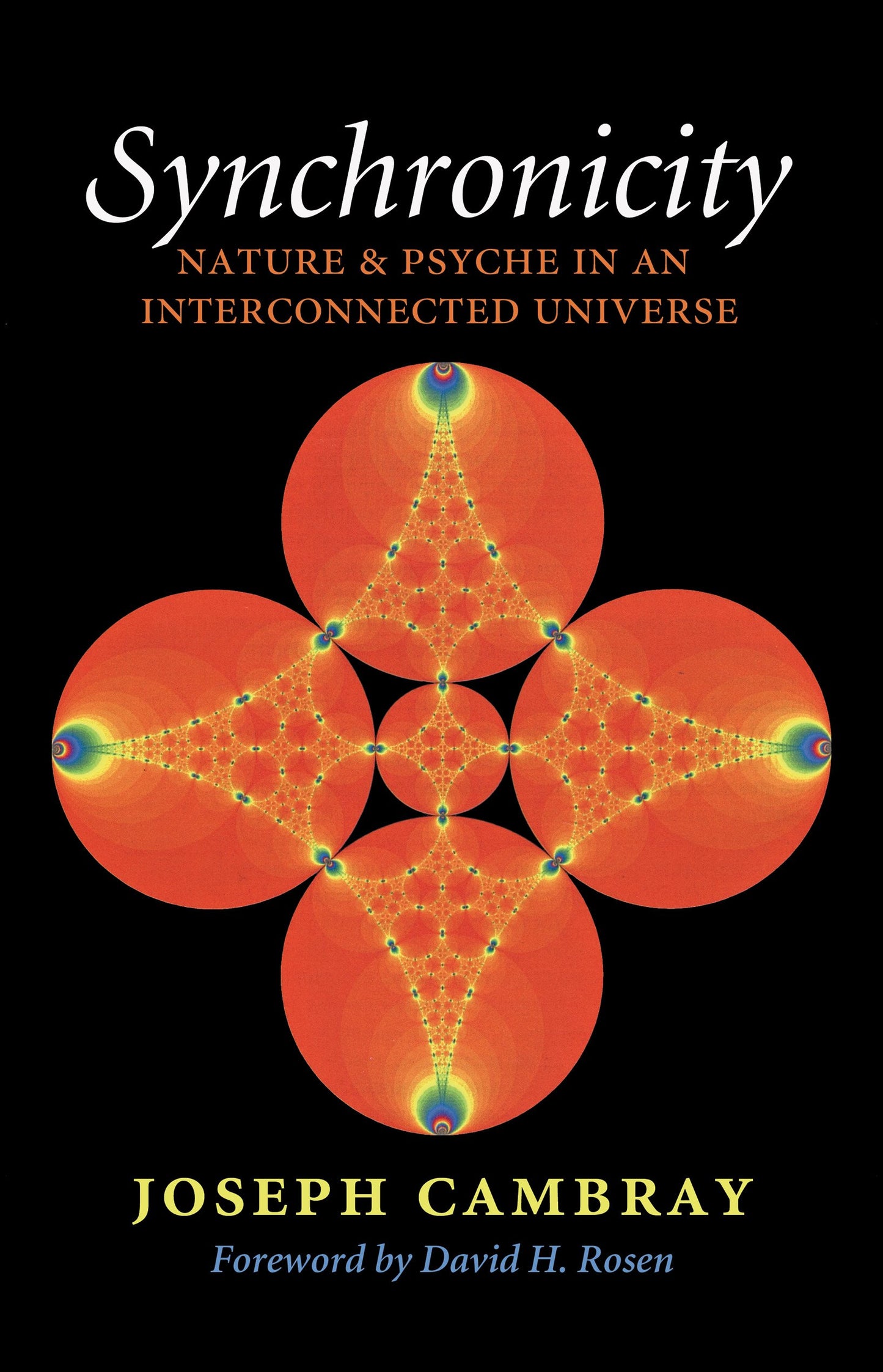 Synchronicity: Nature and Psyche in an Interconnected Universe Volume 15 book cover