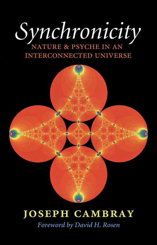 Synchronicity: Nature and Psyche in an Interconnected Universe Volume 15 book cover