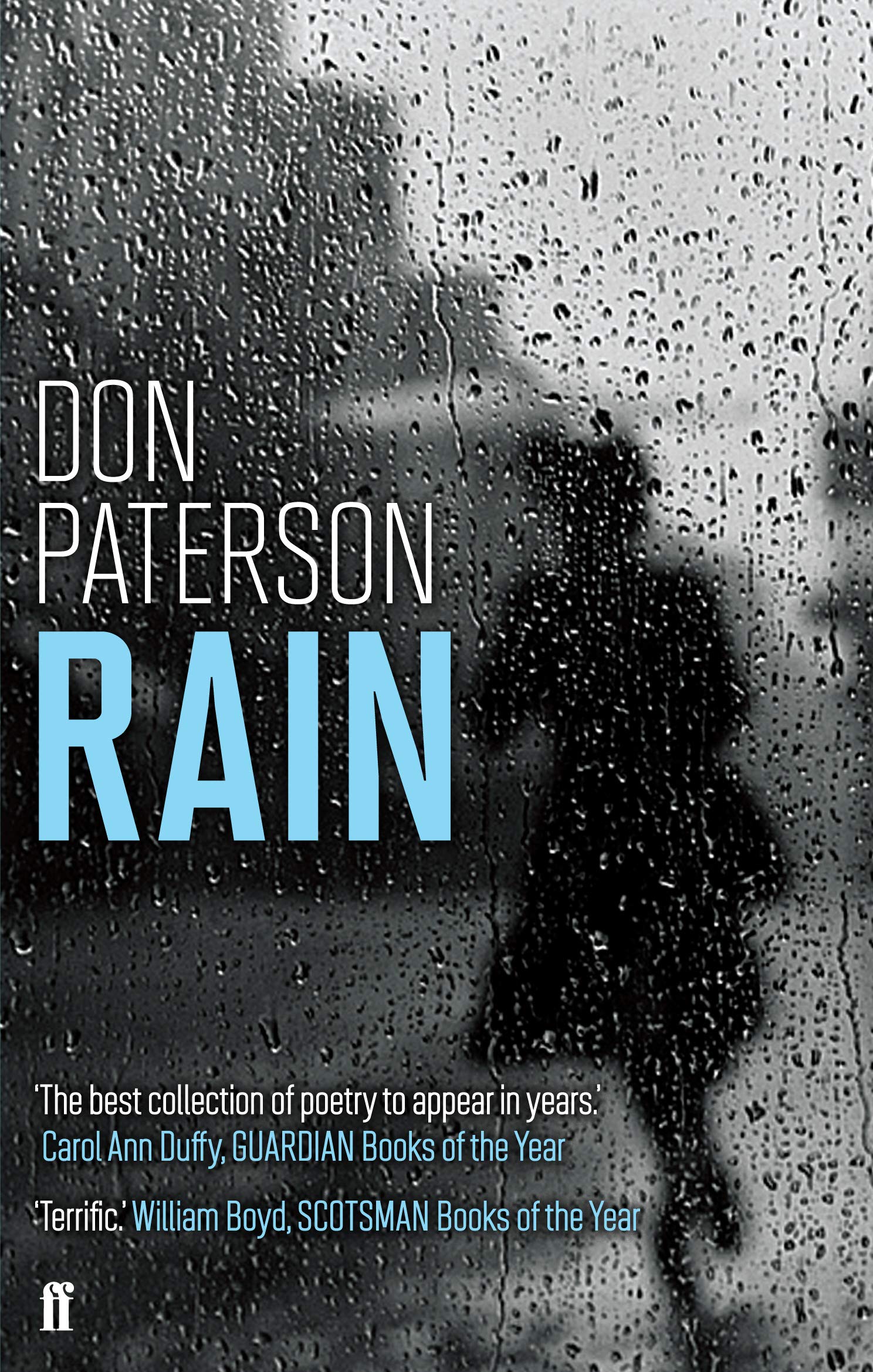 Rain. Don Paterson book cover