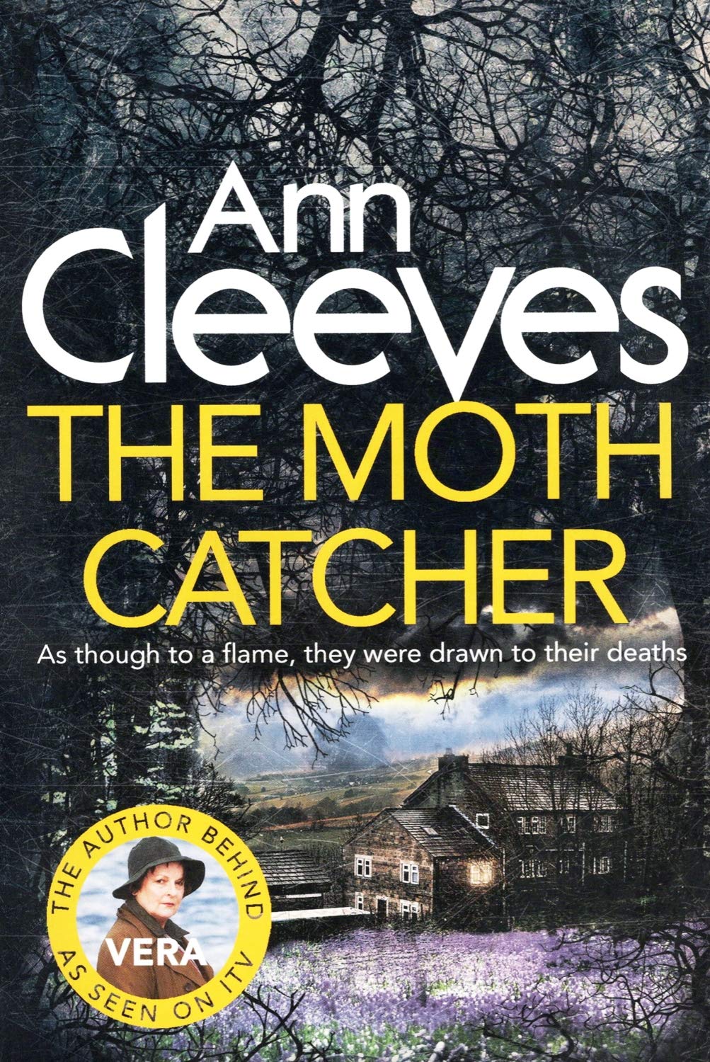 Ann Cleeves The Moth Catcher book cover