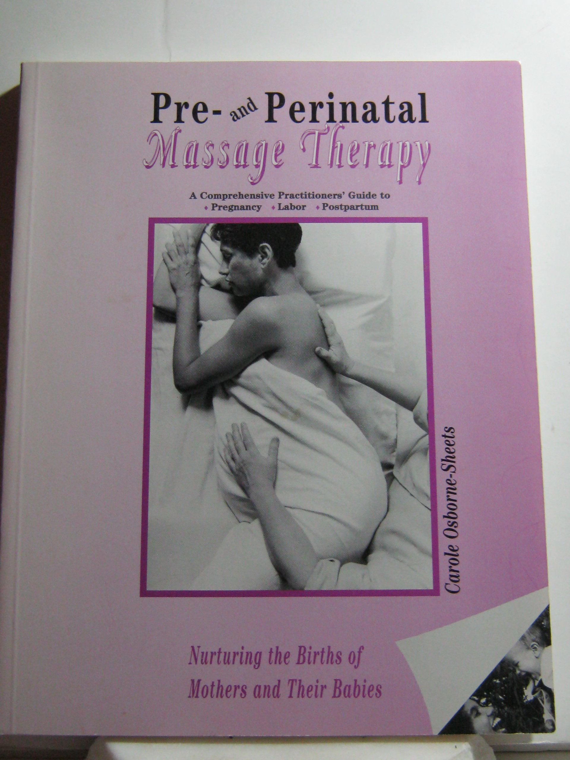 Pre- And Perinatal Massage Therapy: A Comprehensive Practitioners' Guide to Pregnancy, Labor, and Postpartum: Nurturing the Births of Mothers and Thei book cover