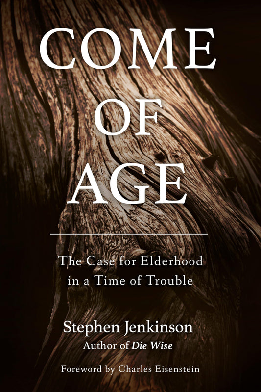 Come of Age: The Case for Elderhood in a Time of Trouble book cover
