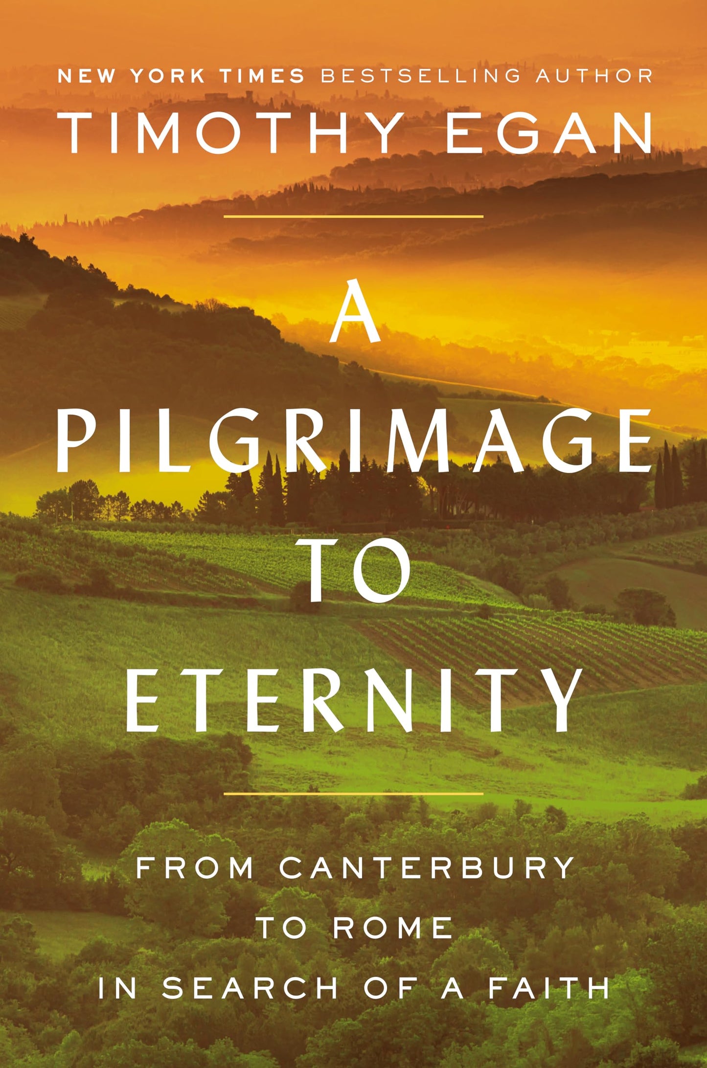Pilgrimage to Eternity: From Canterbury to Rome in Search of a Faith book cover