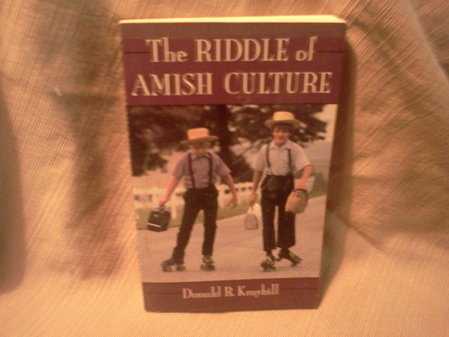 Riddle of Amish Culture