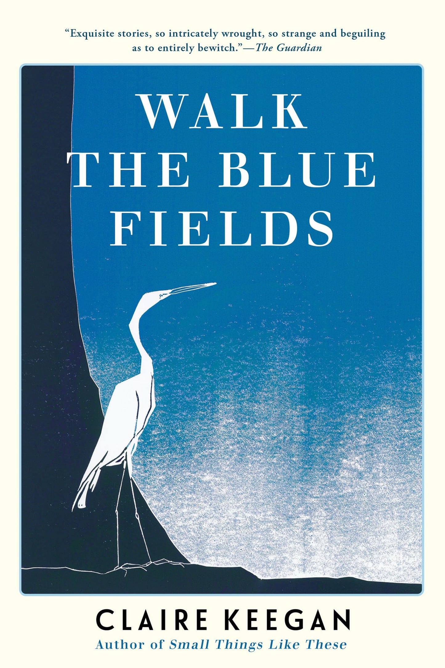 Walk the Blue Fields book cover
