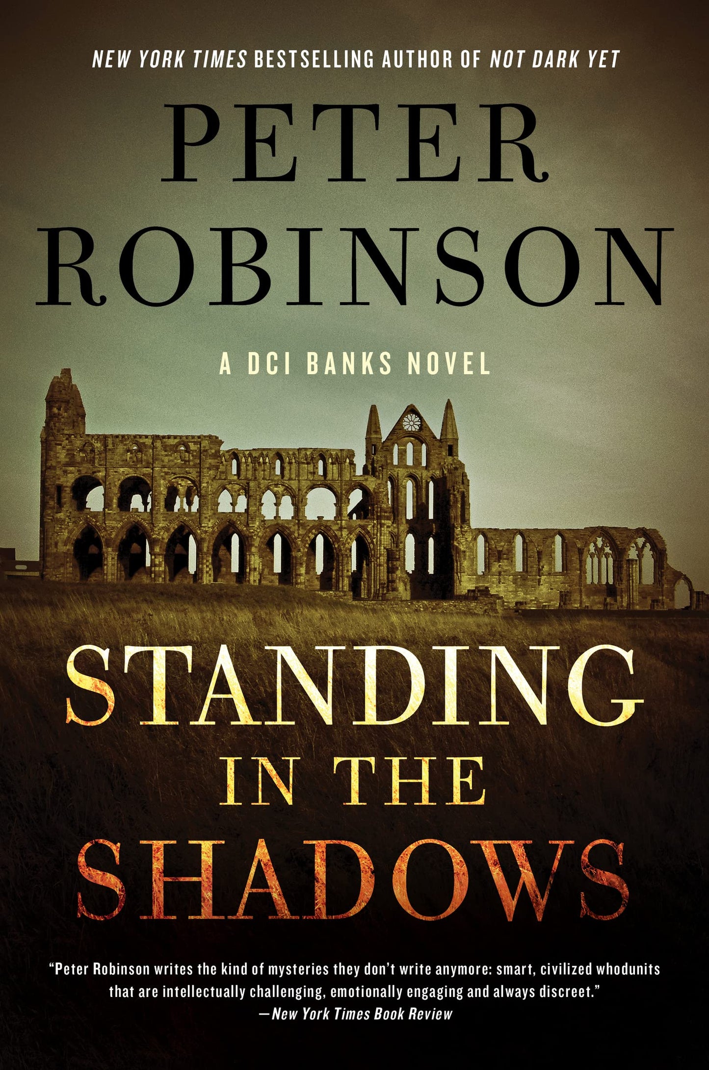 Standing in the Shadows book cover
