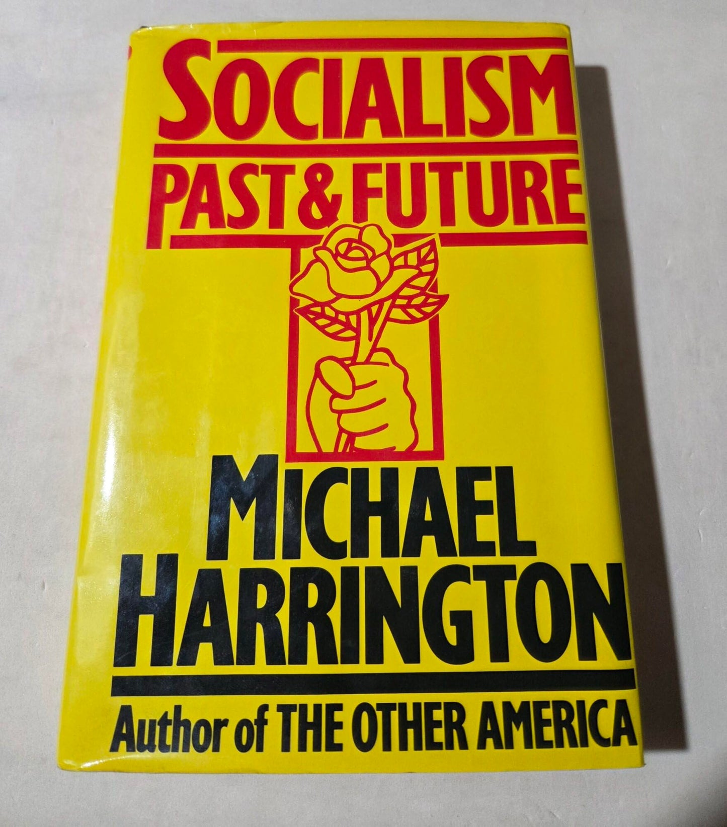 Socialism: Past and Future book cover
