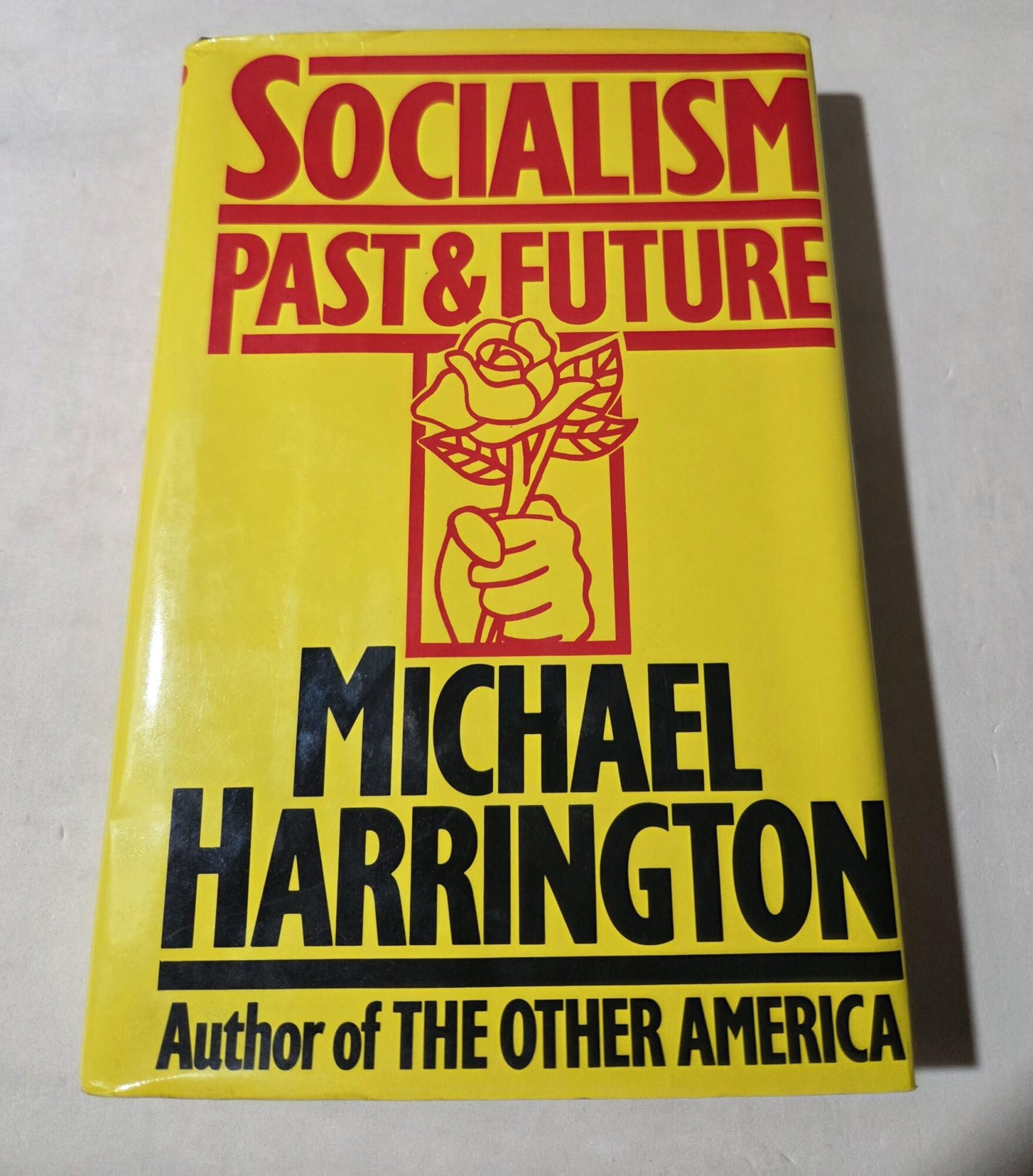 Socialism: Past and Future book cover