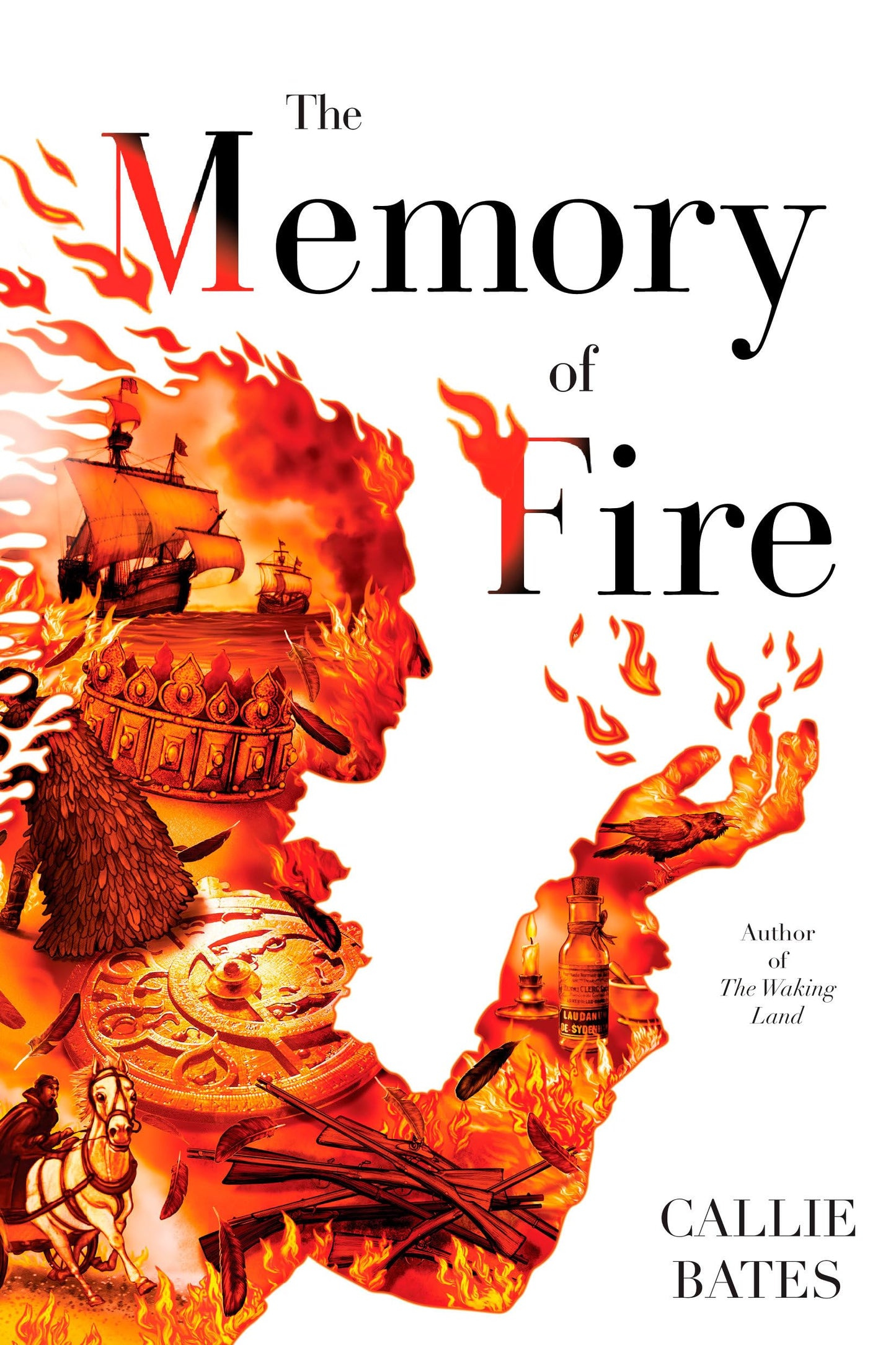 Memory of Fire book cover