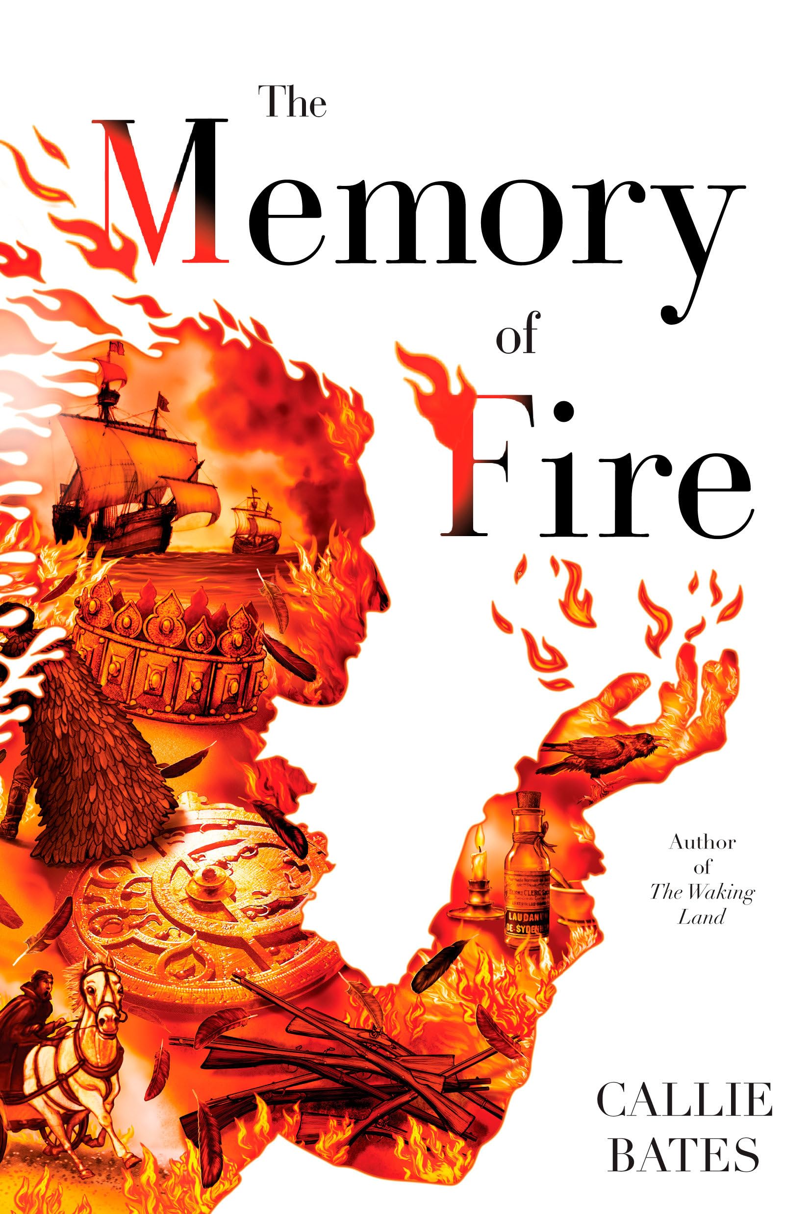 Memory of Fire book cover