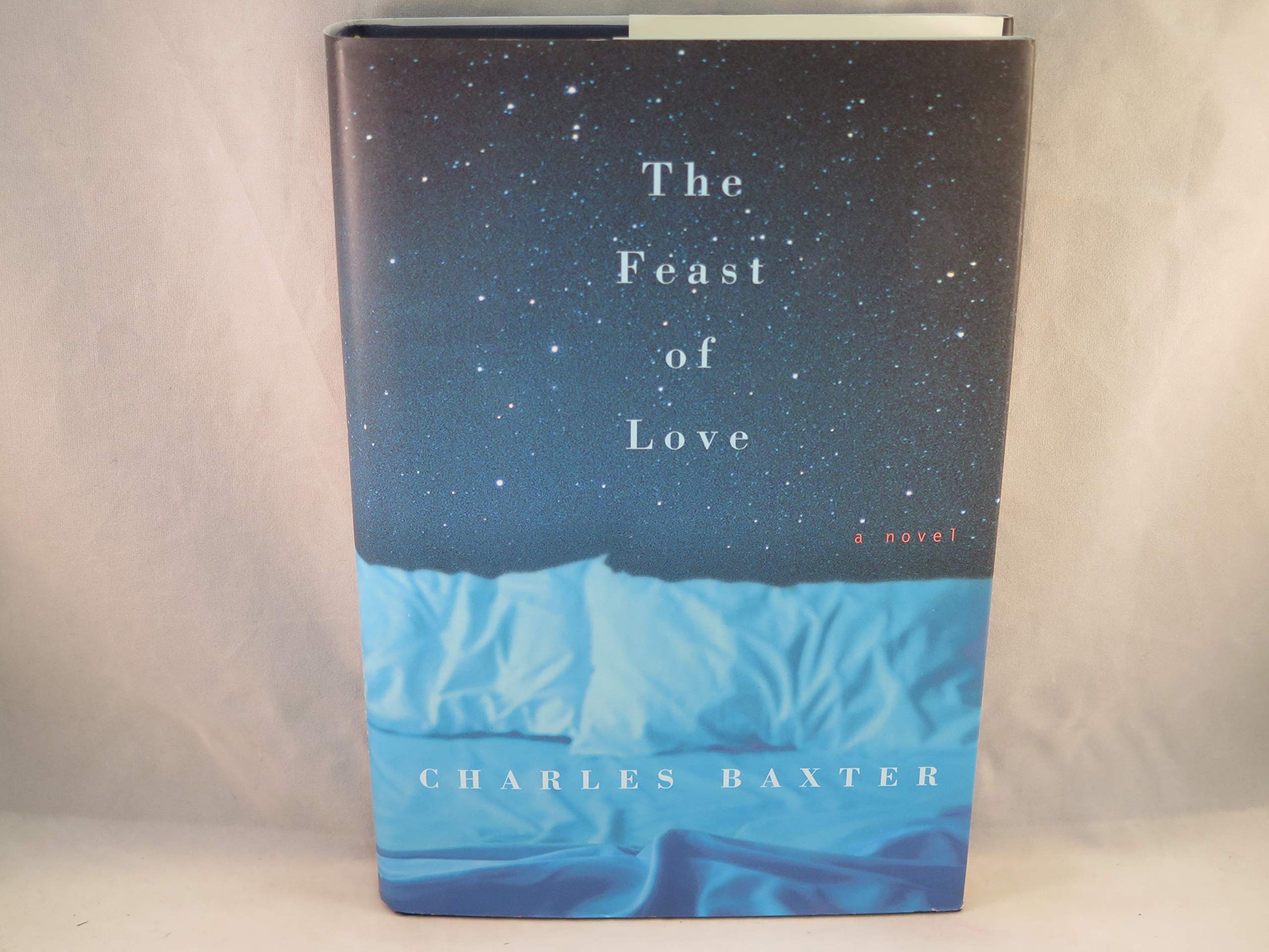 Feast of Love book cover