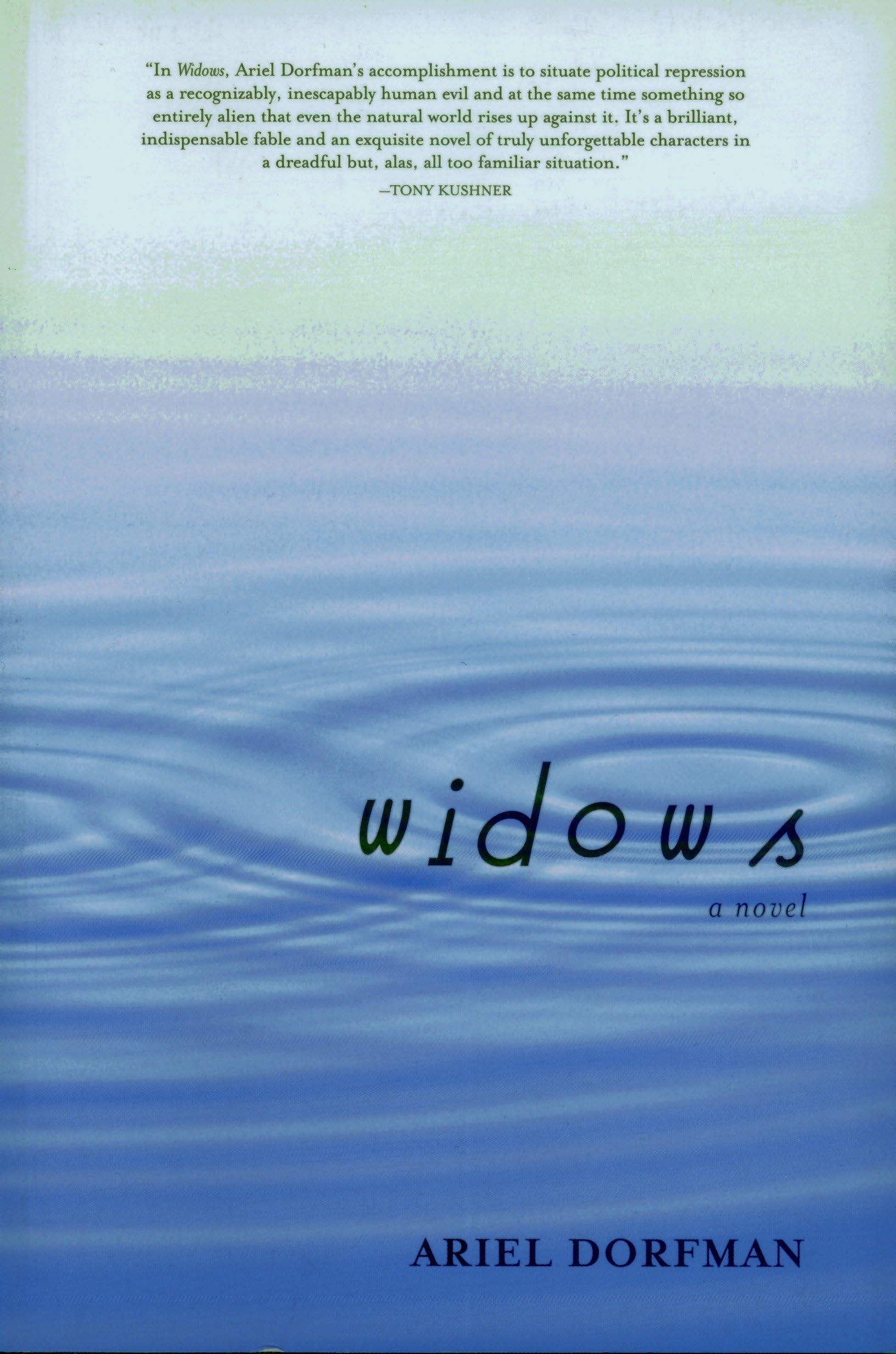 Widows book cover