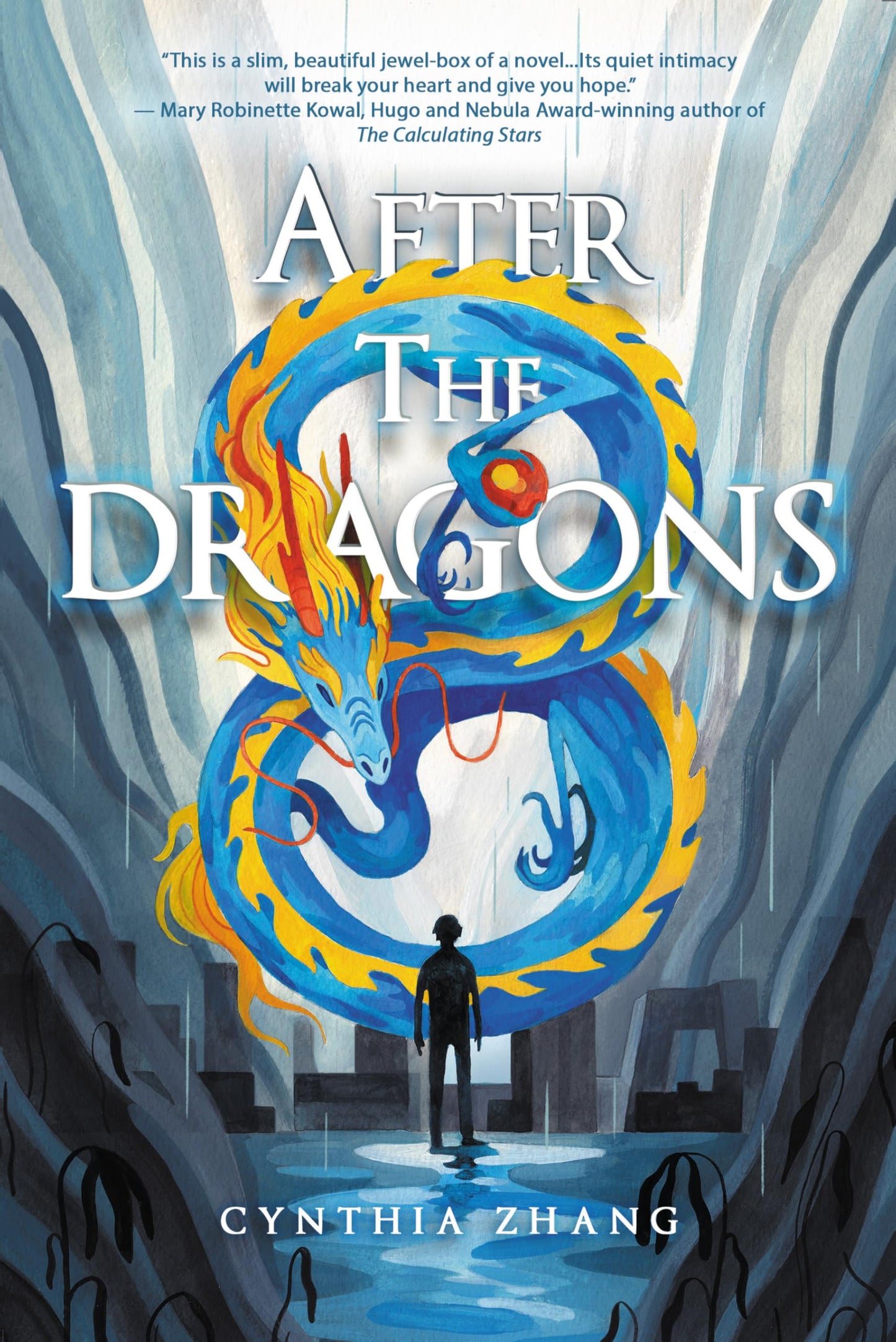 After the Dragons book cover