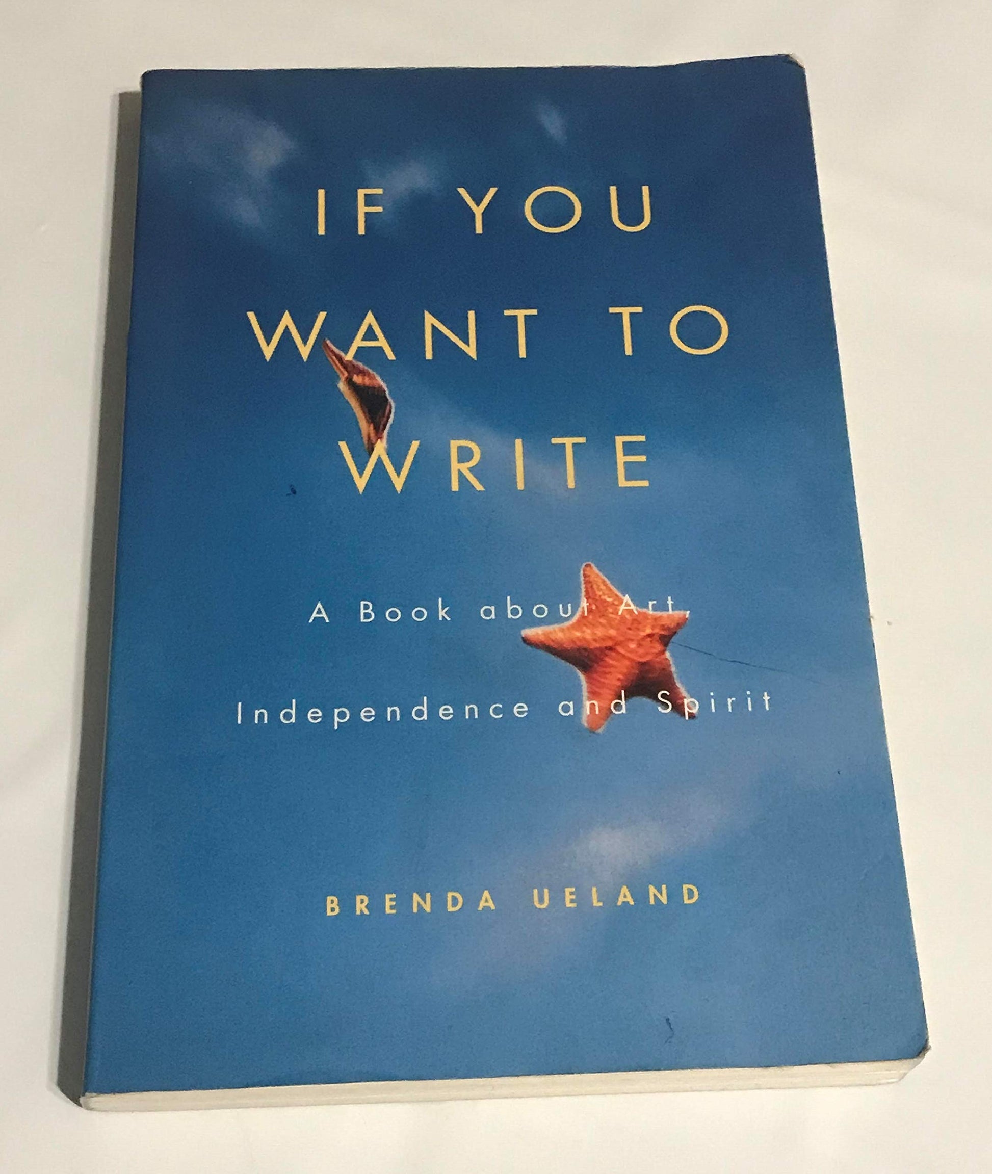 If You Want to Write: A Book about Art, Independence and Spirit book cover