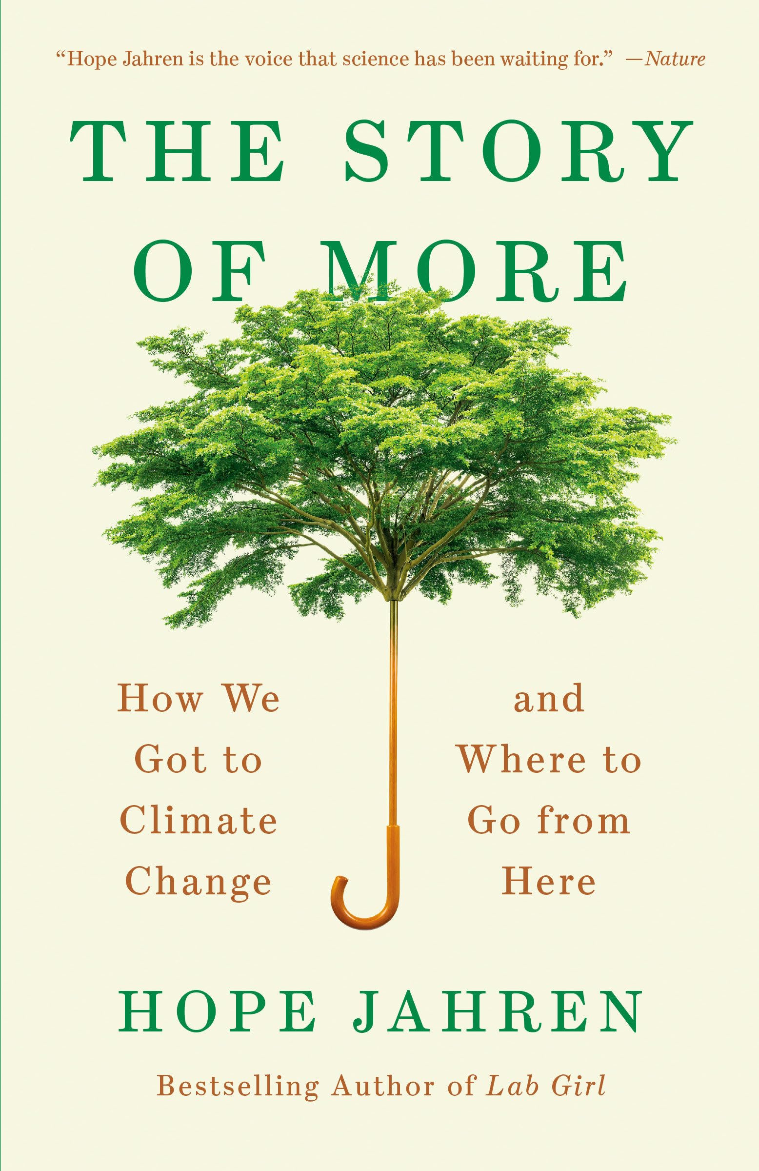 Story of More: How We Got to Climate Change and Where to Go from Here book cover