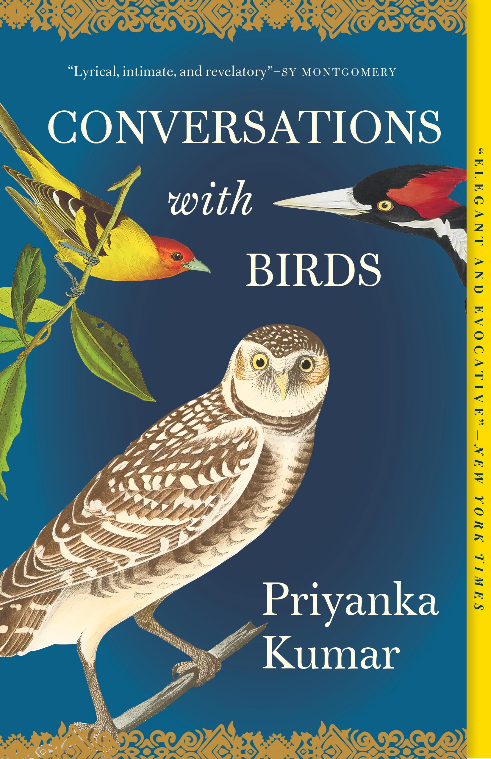 Conversations with Birds book cover