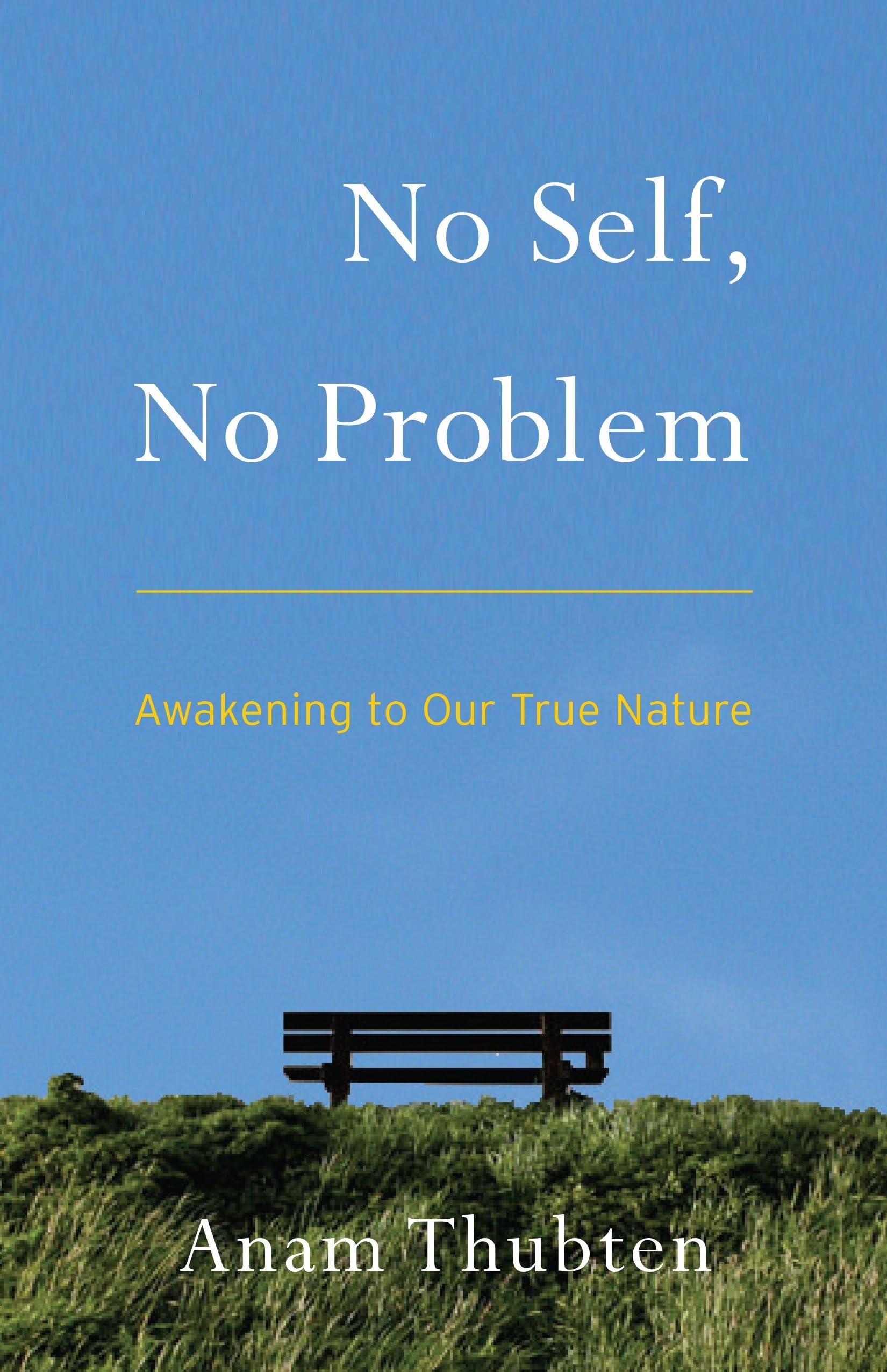 No Self, No Problem: Awakening to Our True Nature book cover