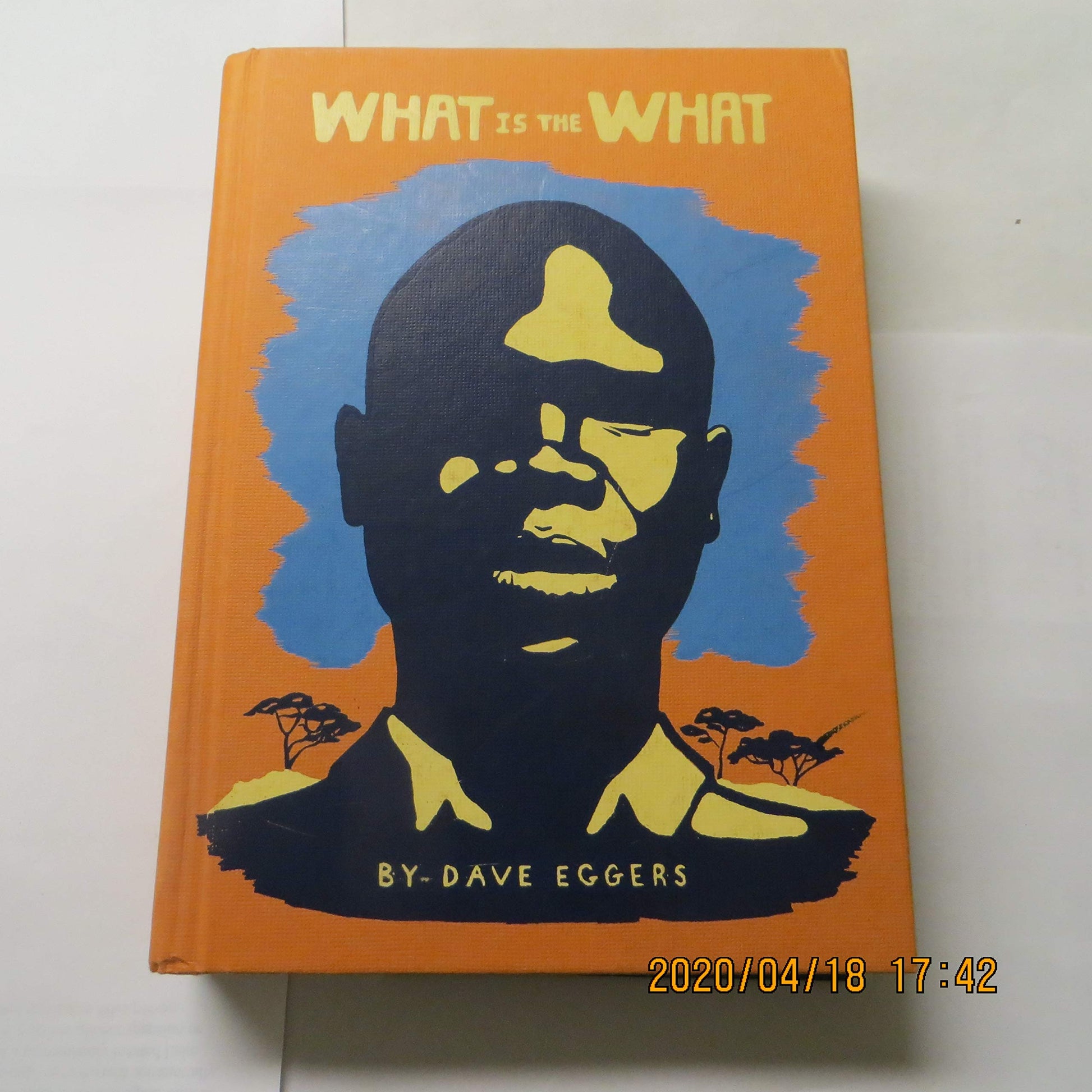 What Is the What book cover