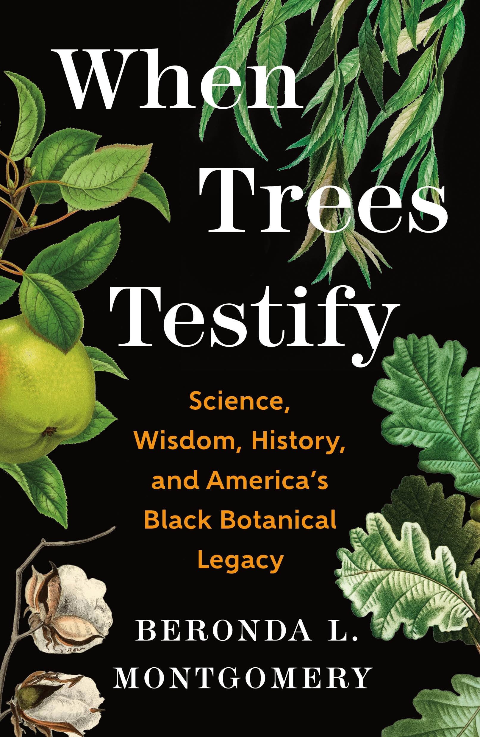 When Trees Testify book cover