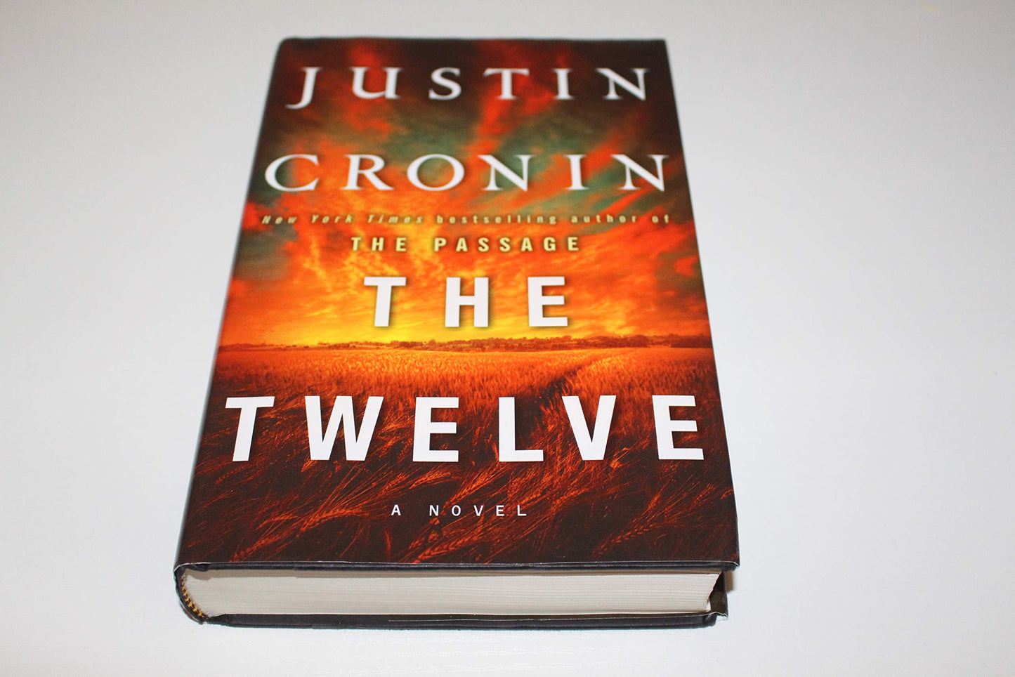 Twelve (Book Two of the Passage Trilogy): A Novel (Book Two of the Passage Trilogy)