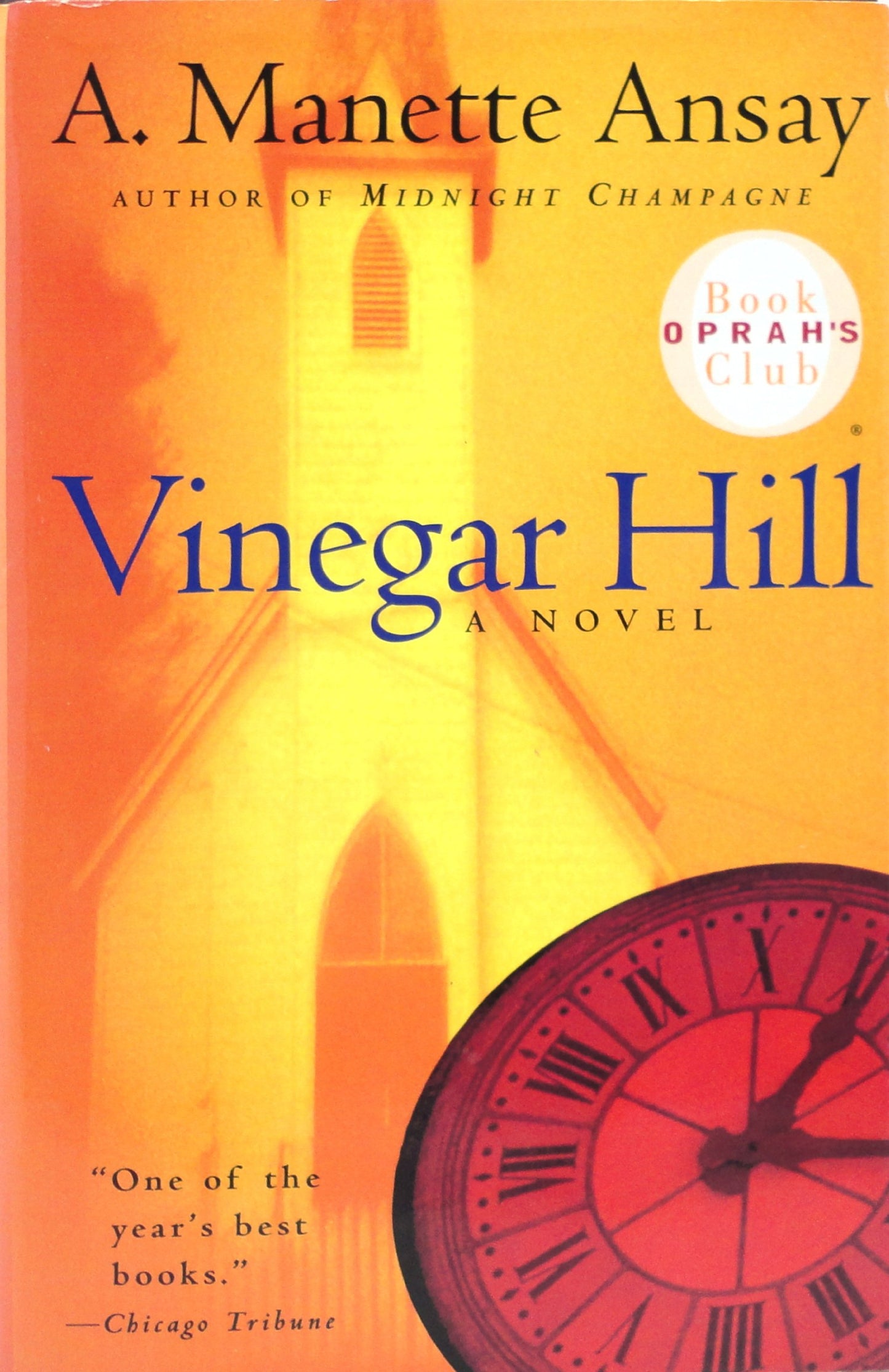 Vinegar Hill book cover