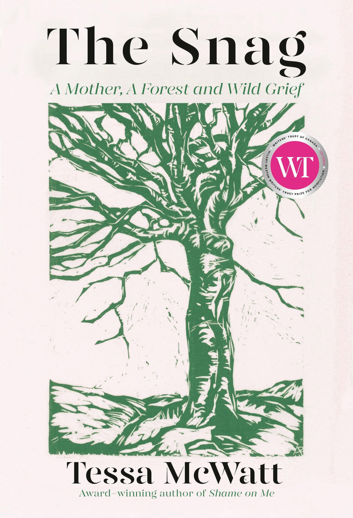 The Snag book cover