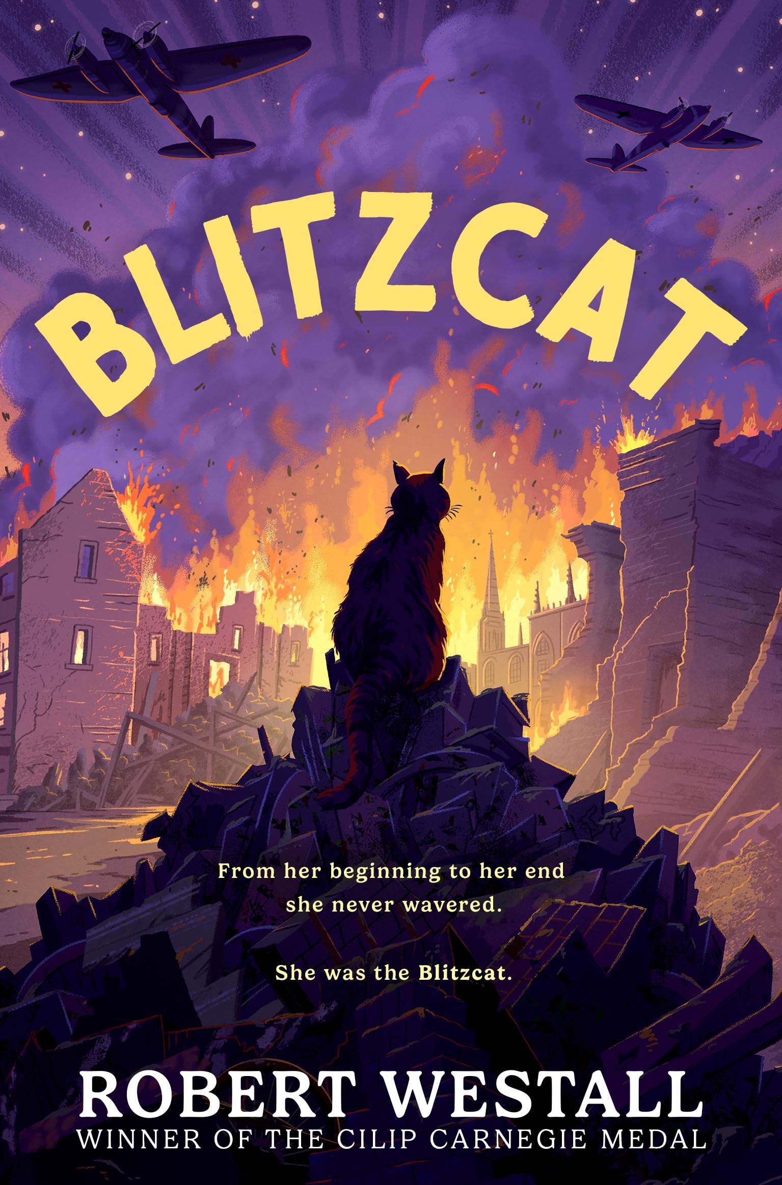 Blitzcat (New Edit/Cover) book cover