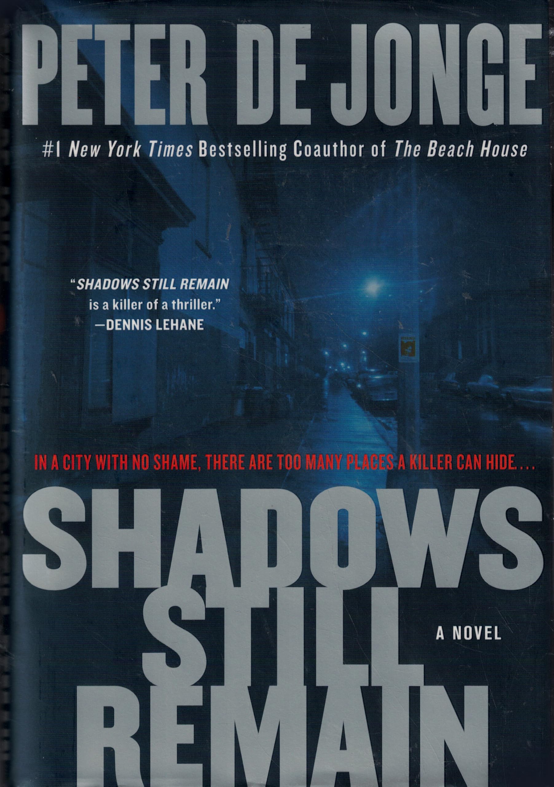 Shadows Still Remain book cover