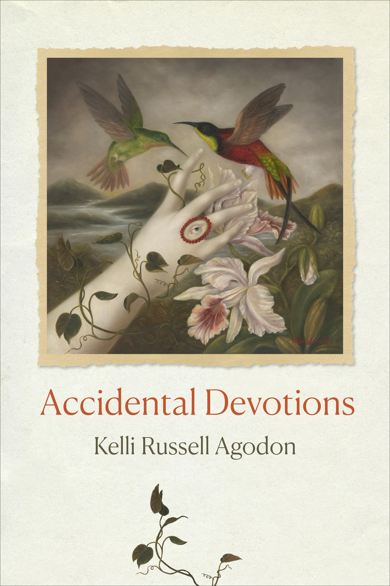 Accidental Devotions book cover
