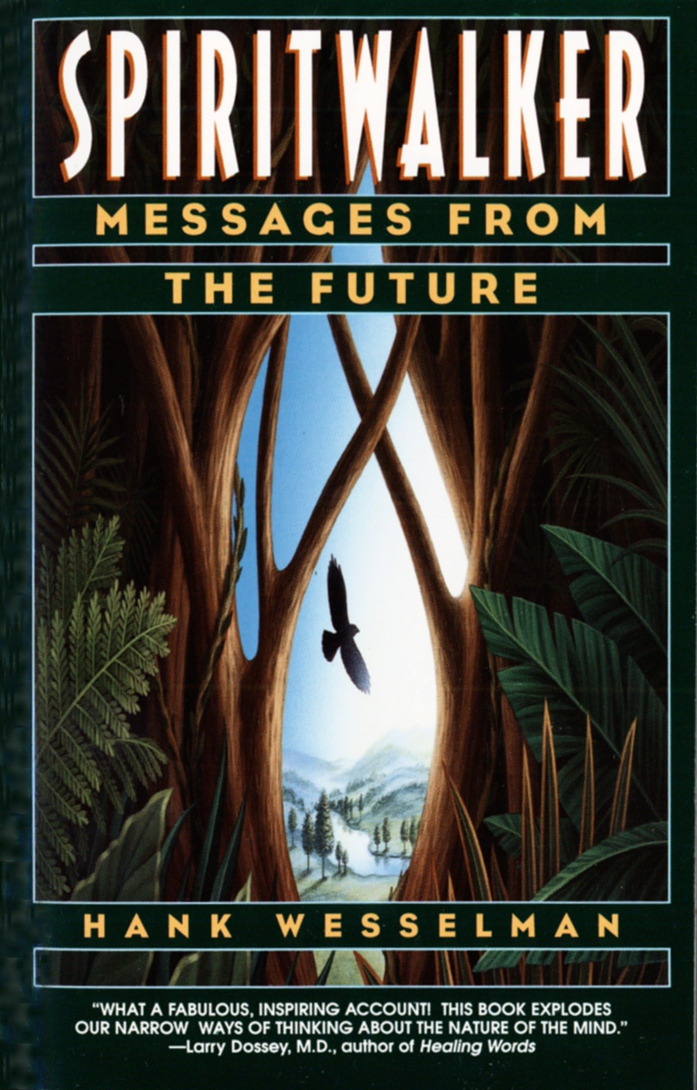 Spiritwalker: Messages from the Future book cover