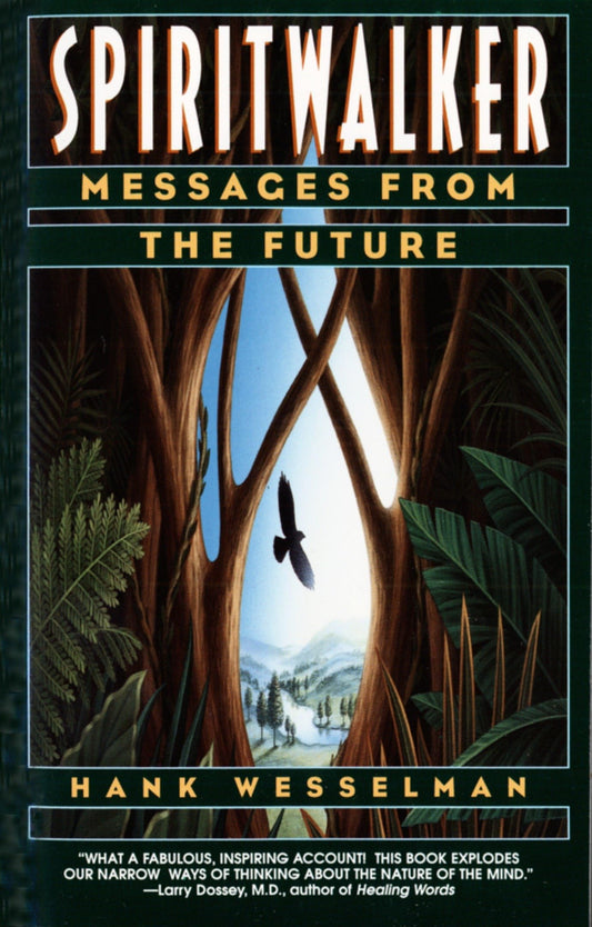 Spiritwalker: Messages from the Future book cover