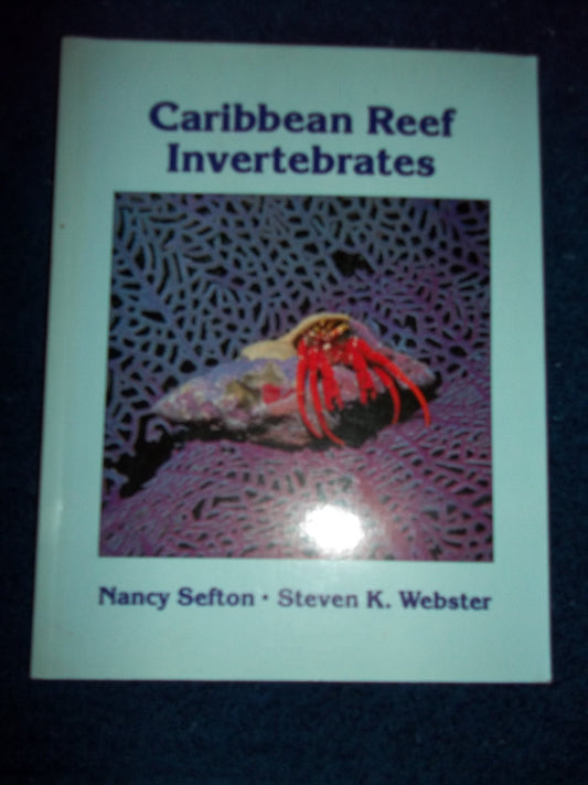 A Field Guide to Caribbean Reef Invertebrates: A Special Publication of the Monterey Bay Aquarium Foundation book cover